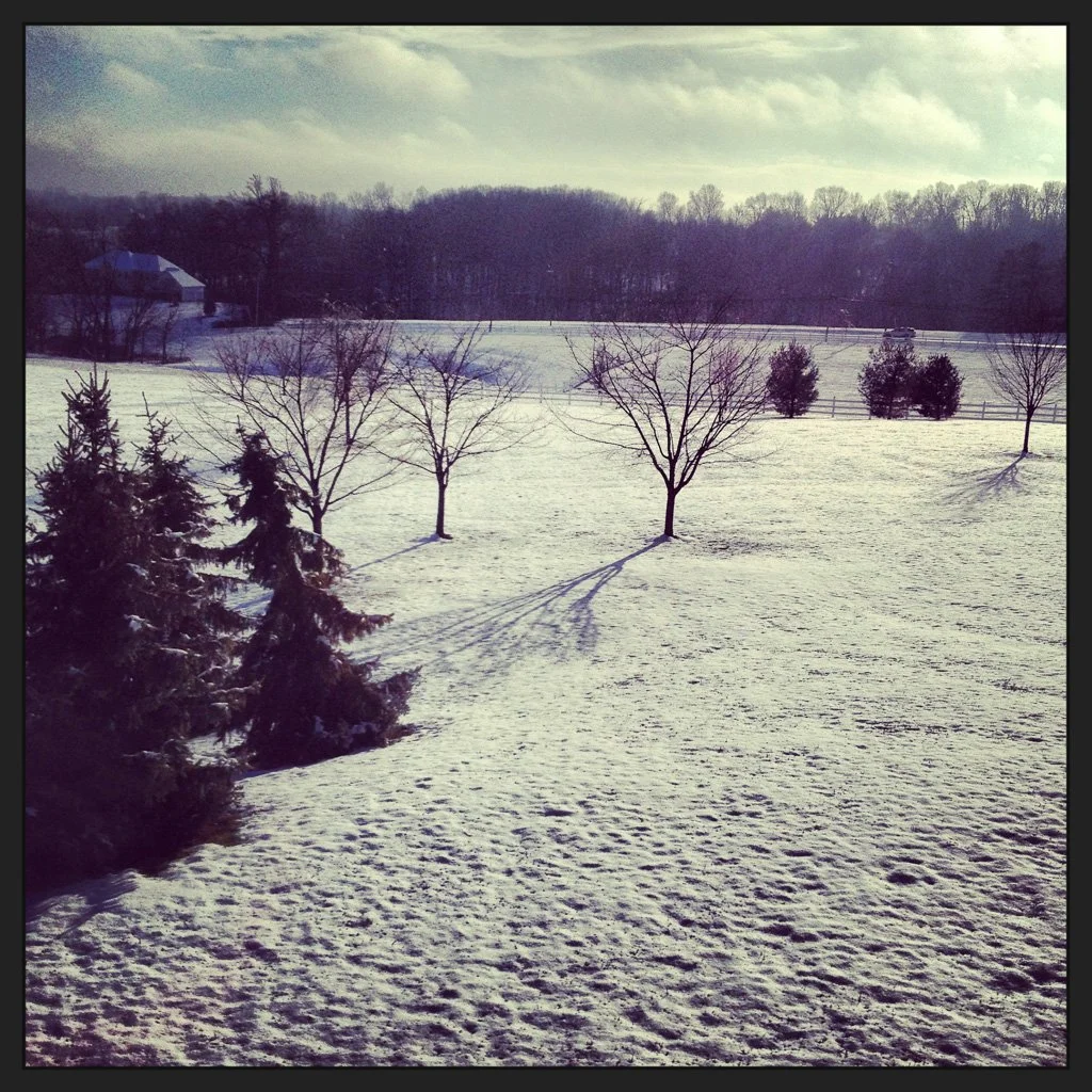 snowy-backyard-364-366_8324212748_o.jpg