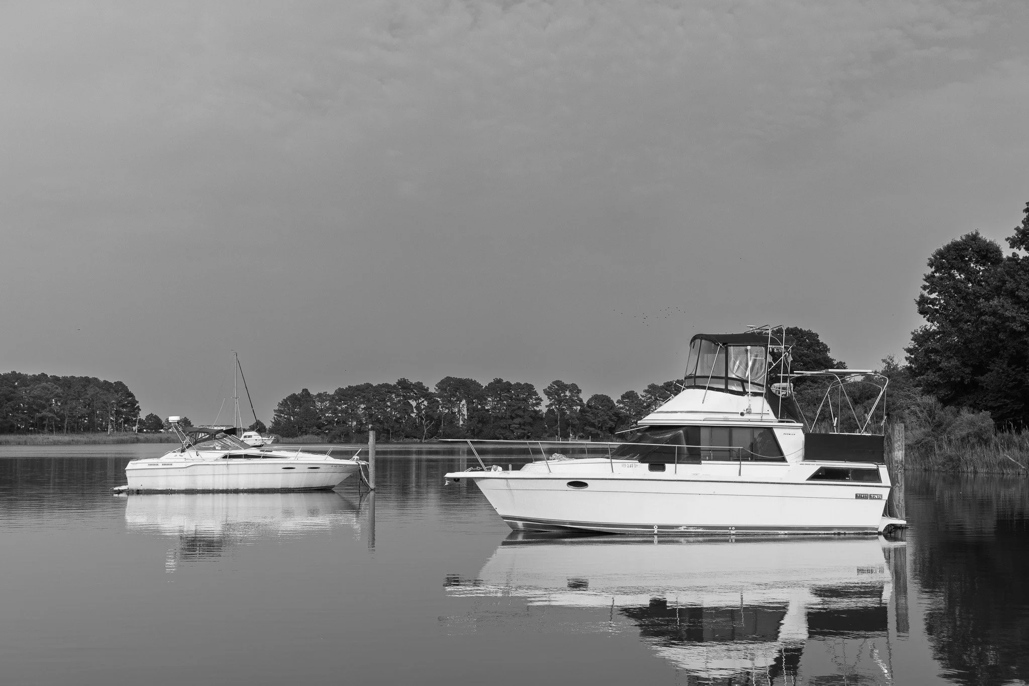 _DA_5356.jpg