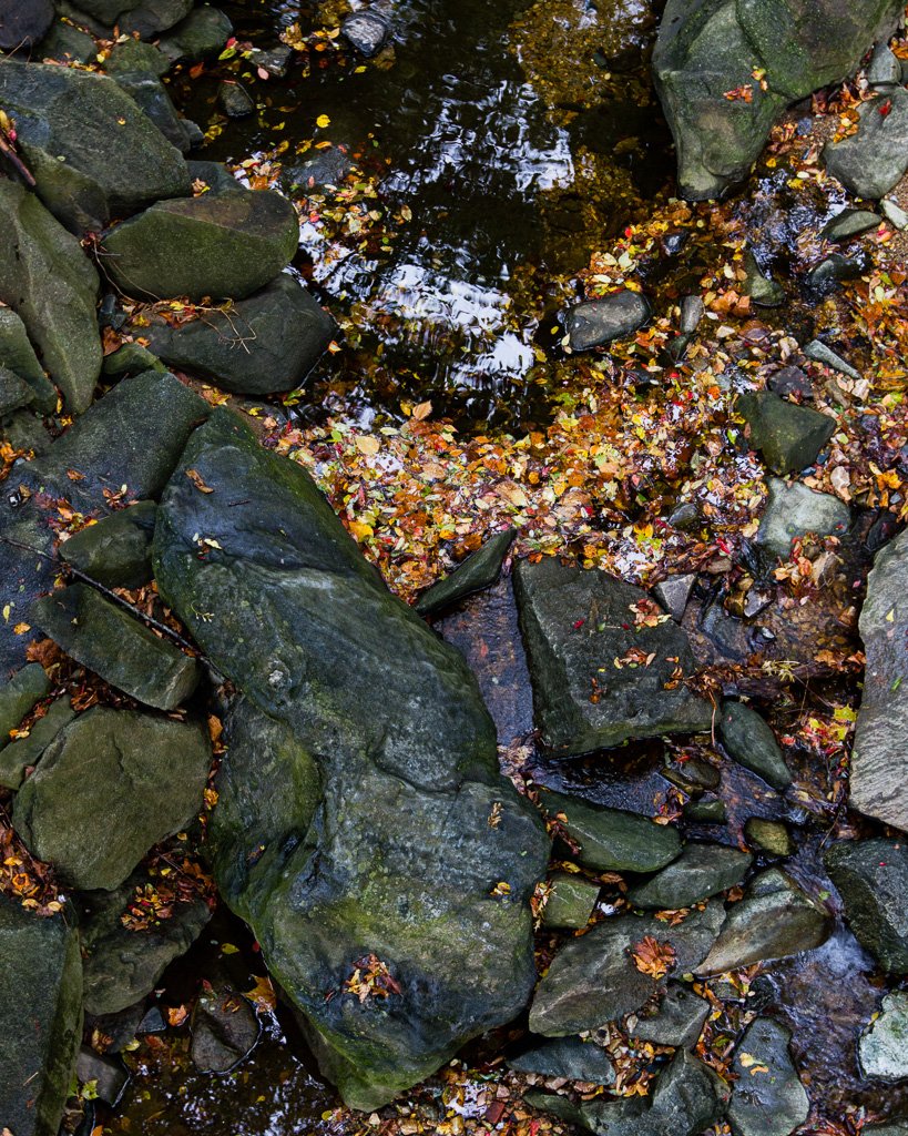 glen-echo-creek-281-366_8064912601_o.jpg