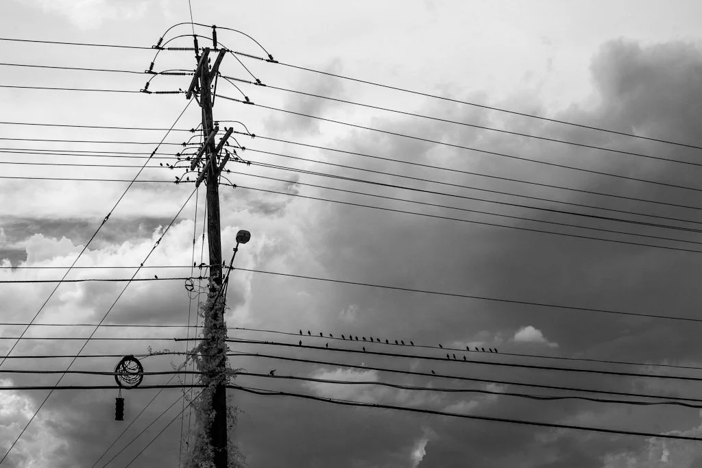 power-lines-227-366_7784906148_o.jpg