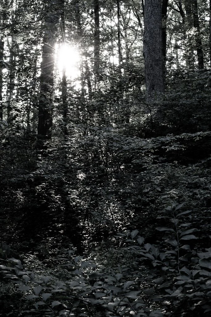 untitled-sun-201-366_7606730426_o.jpg