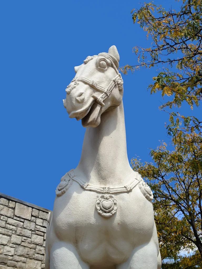 pf-chang-horse-267-366_8017621612_o.jpg