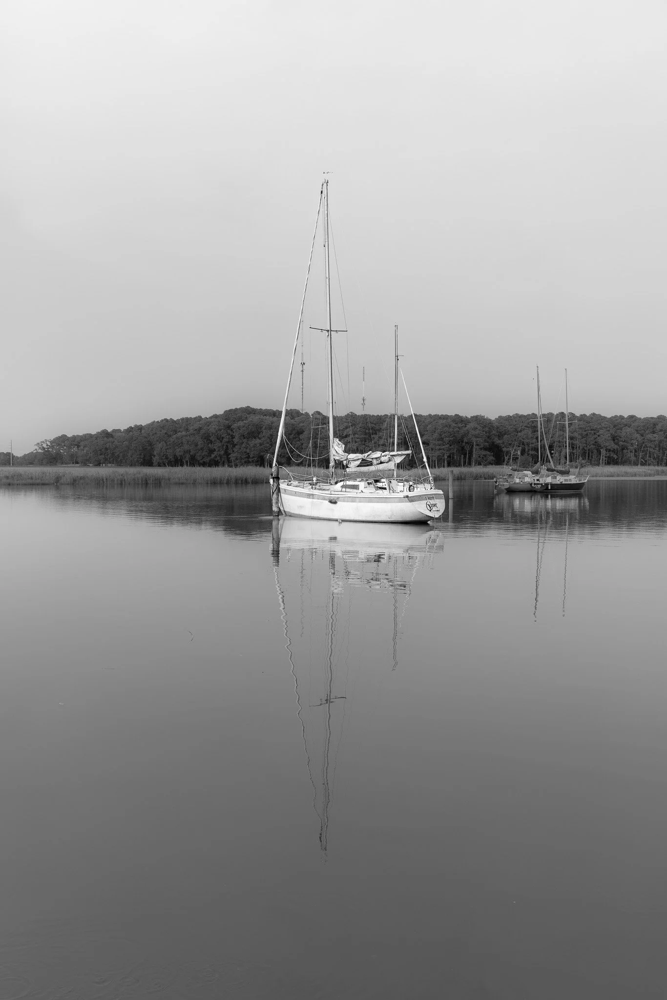 _DA_5365.jpg