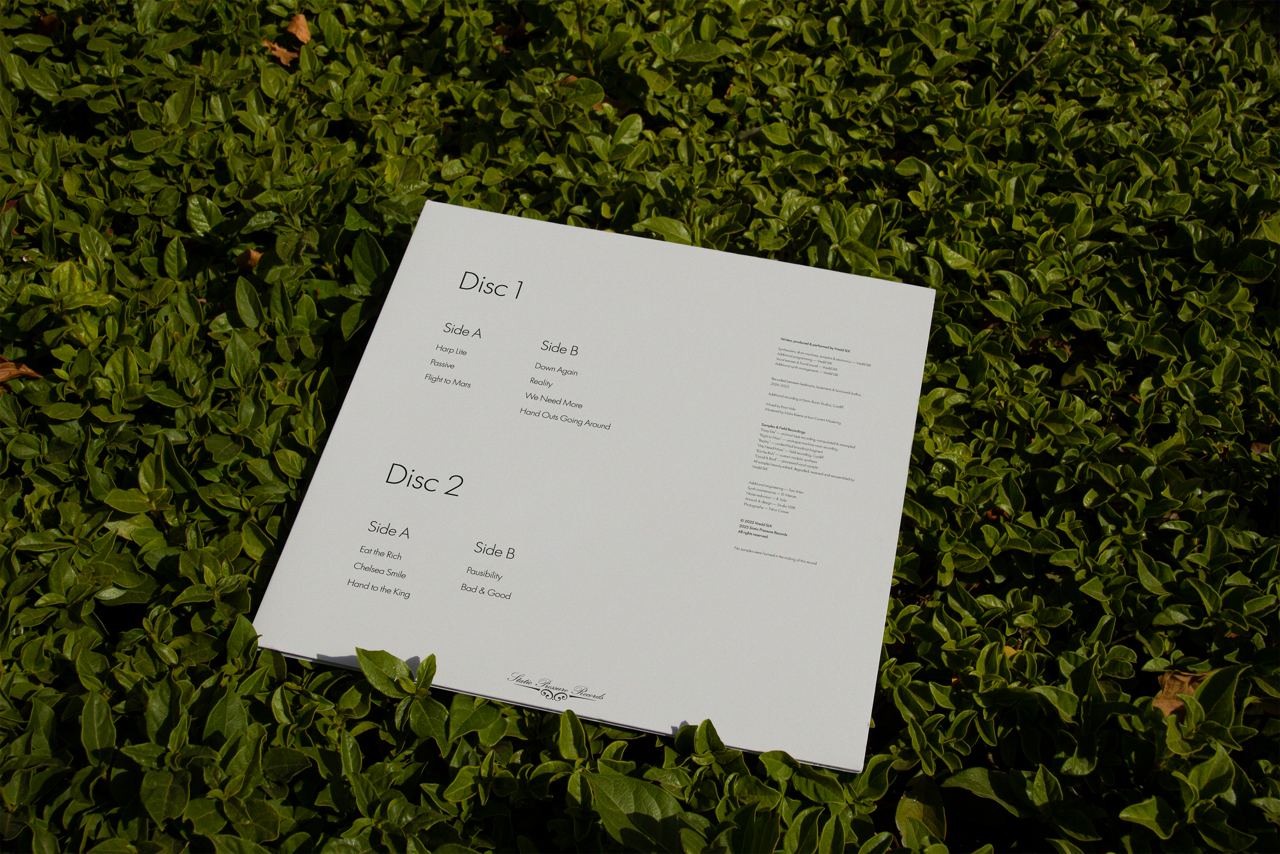 Olive Oil mockup 2.png