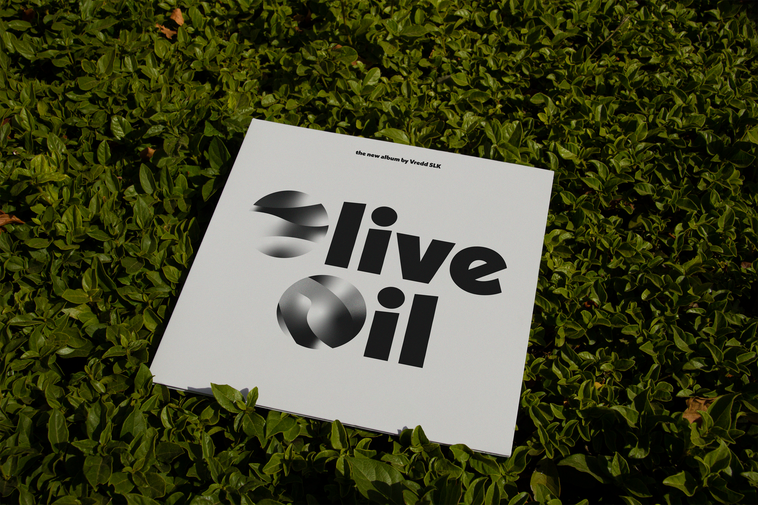 Olive Oil