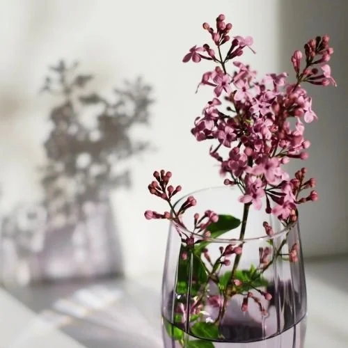 Build Your Mindfulness Toolkit: Returning to Wholeness with Adrianne Lind