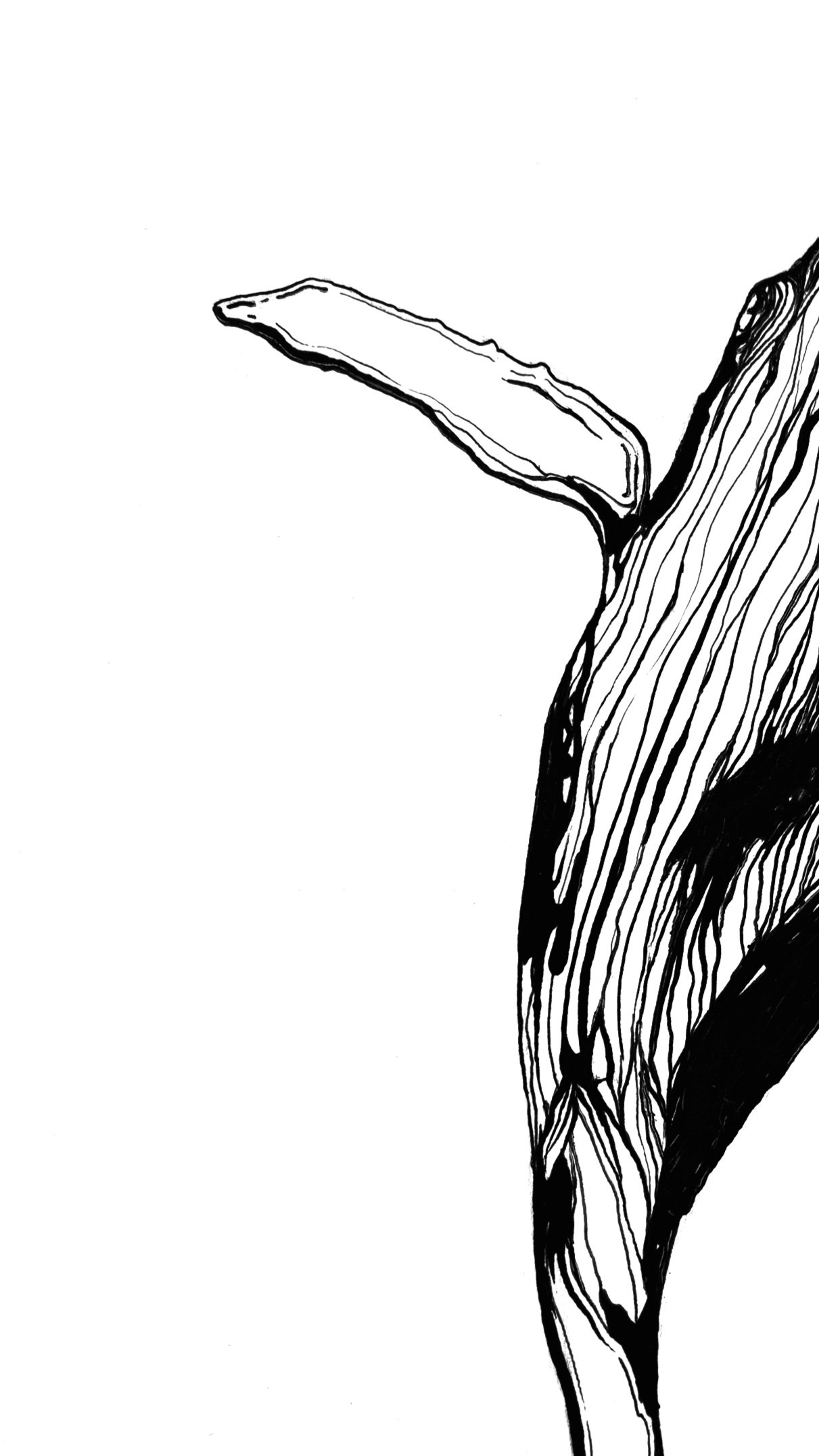 Untitled_Artwork+1.jpg