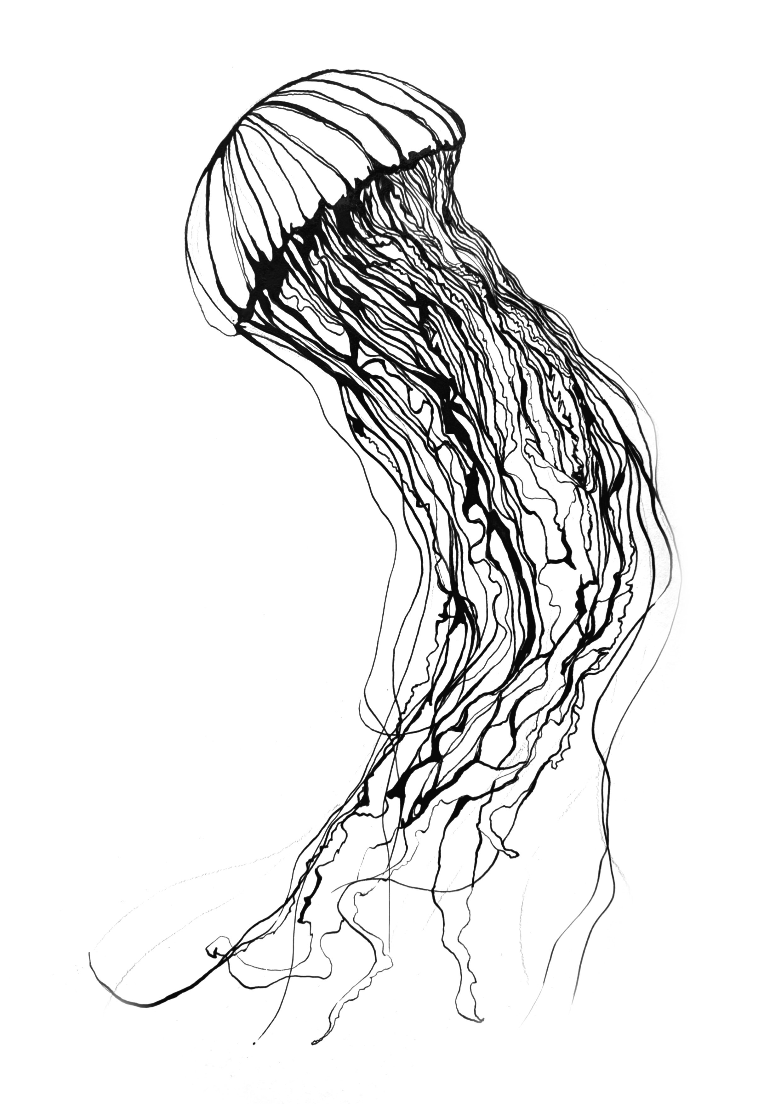 Untitled_Artwork+124.jpg