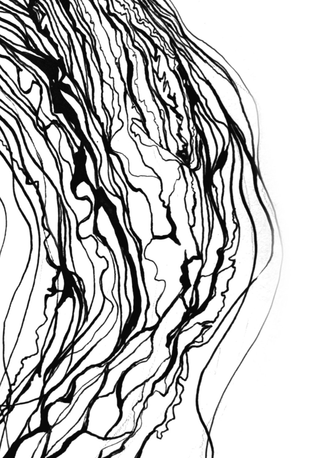 Untitled_Artwork+124.jpg