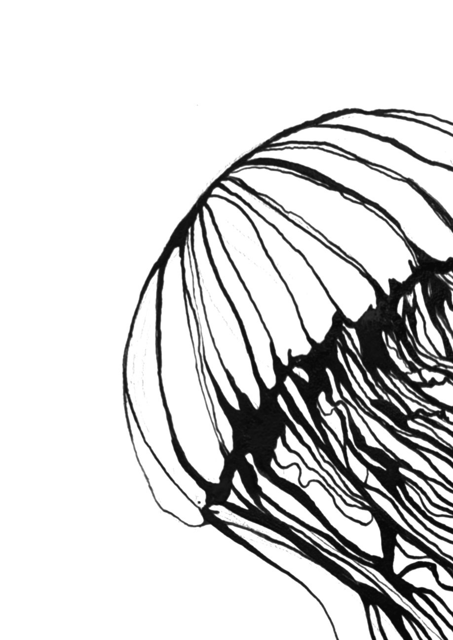 Untitled_Artwork+124.jpg