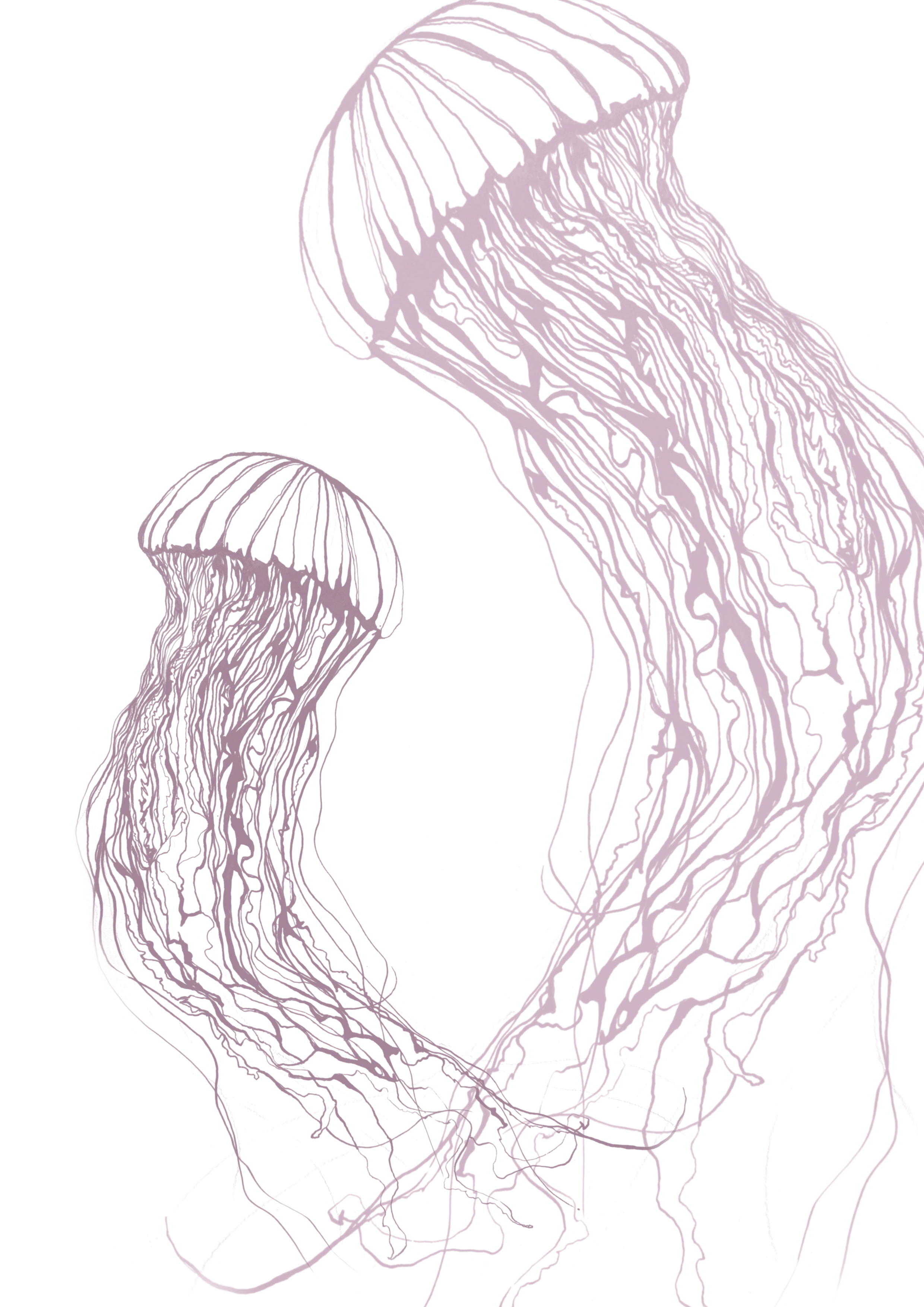 Untitled_Artwork 15.png