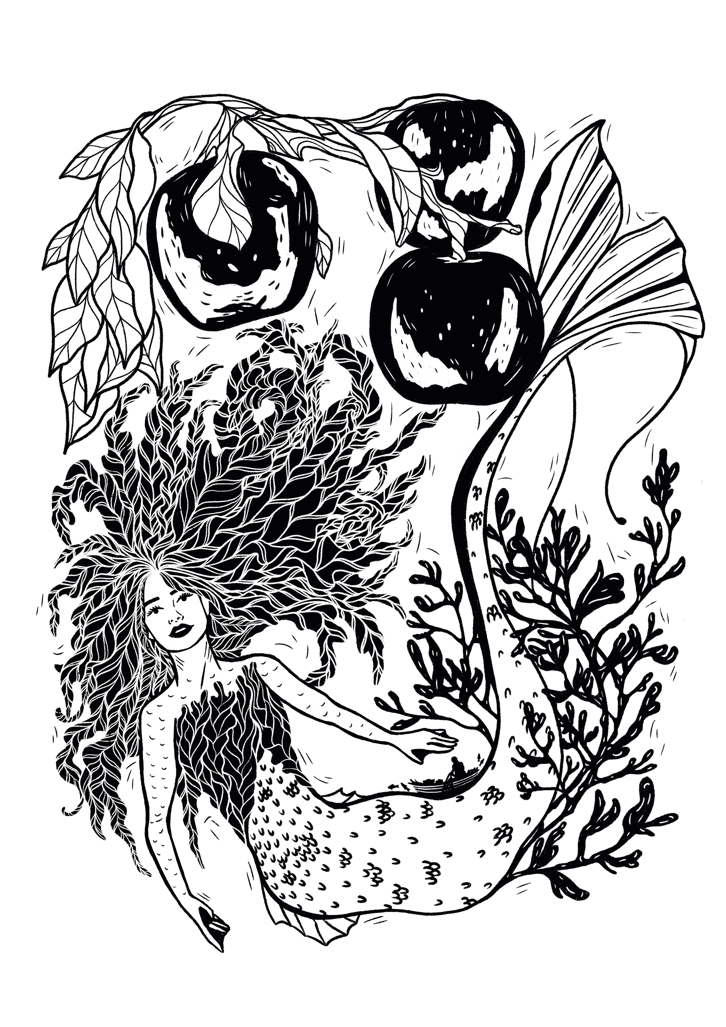 The_Mermaid_Main_Image.png