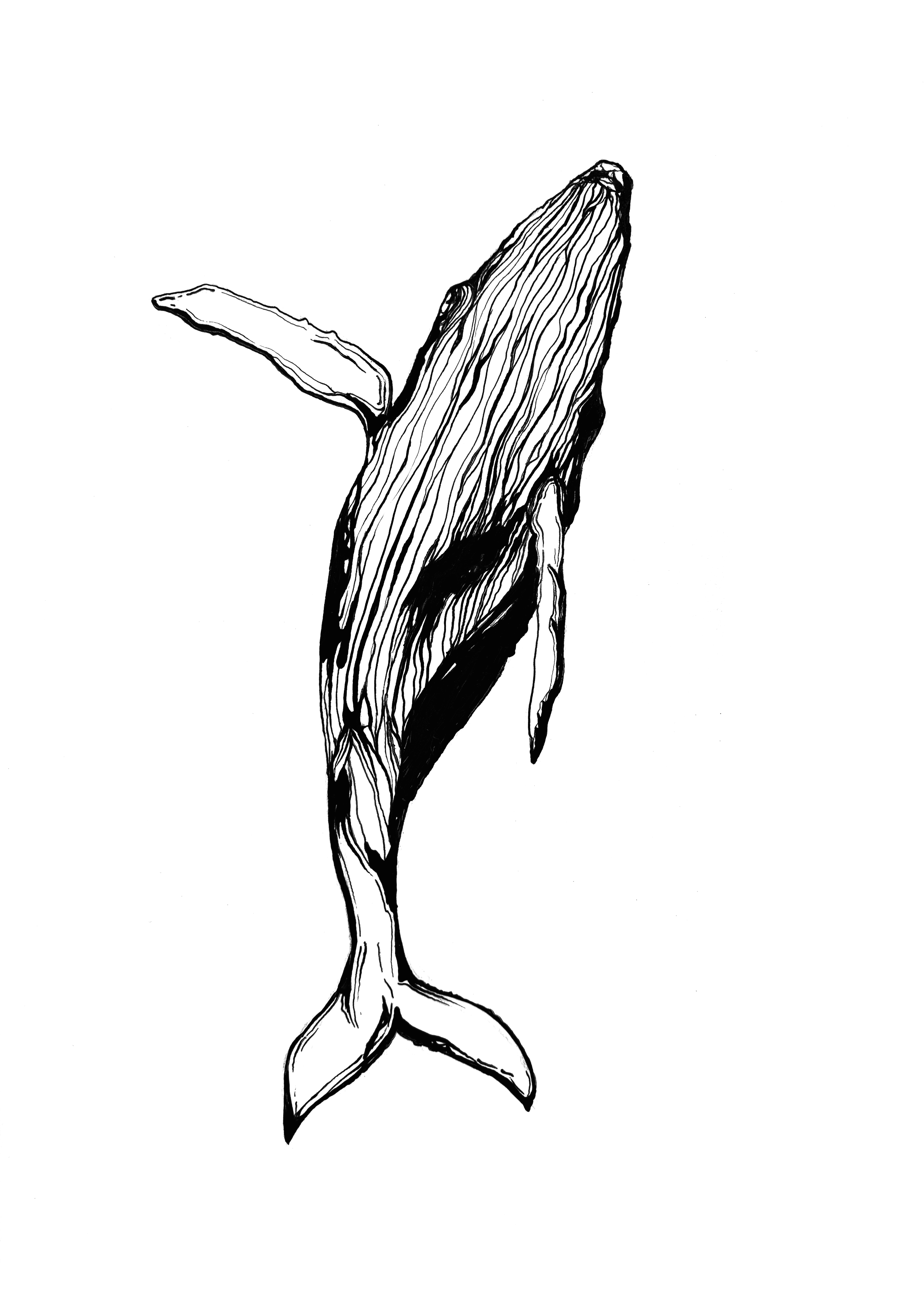 Untitled_Artwork 1.png