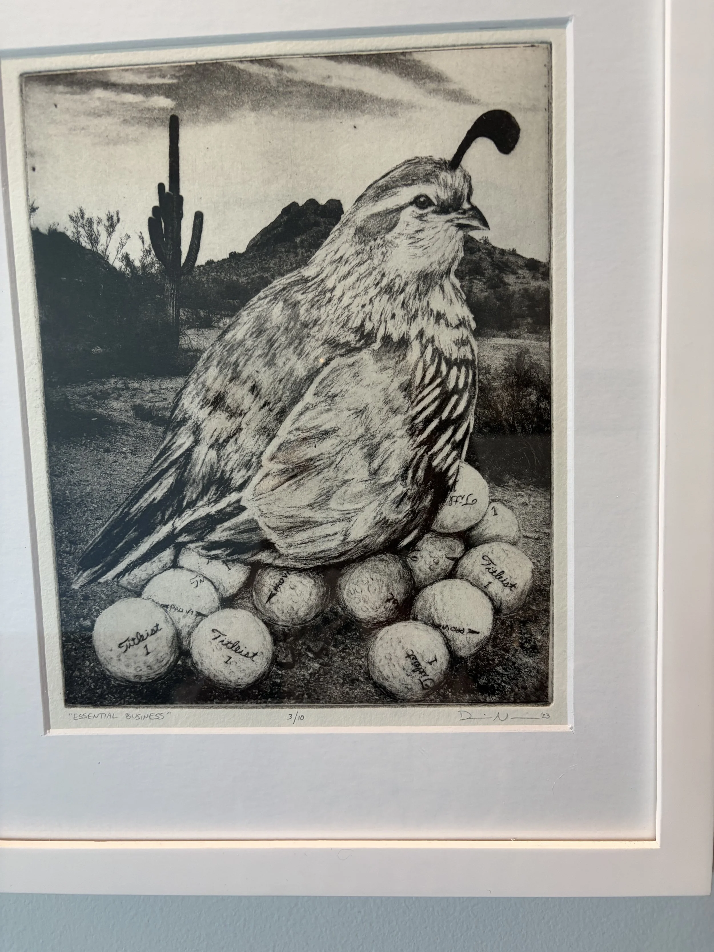 mountain shadows IMG_2998.jpeg