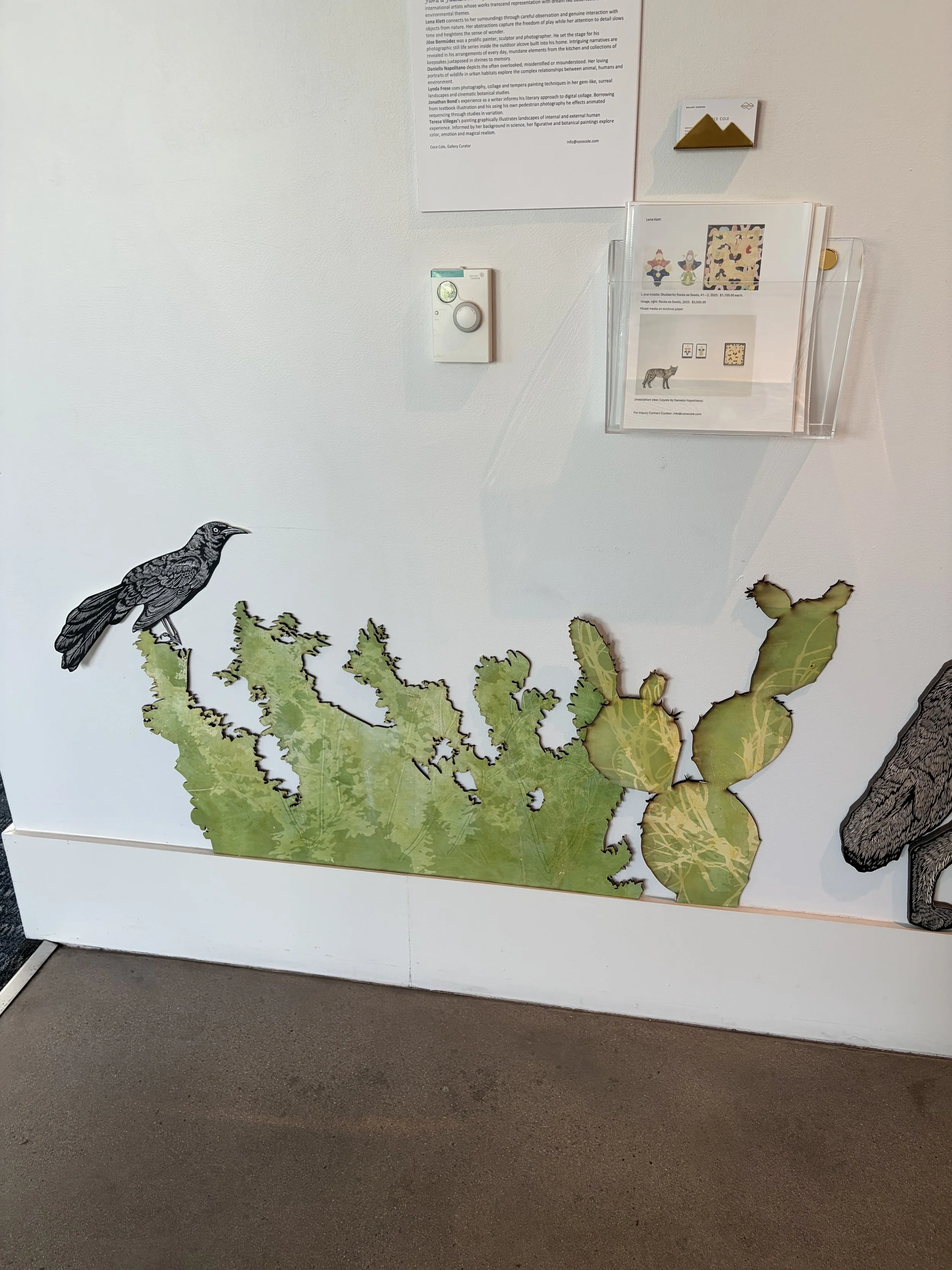 mountain shadows IMG_2996.jpeg