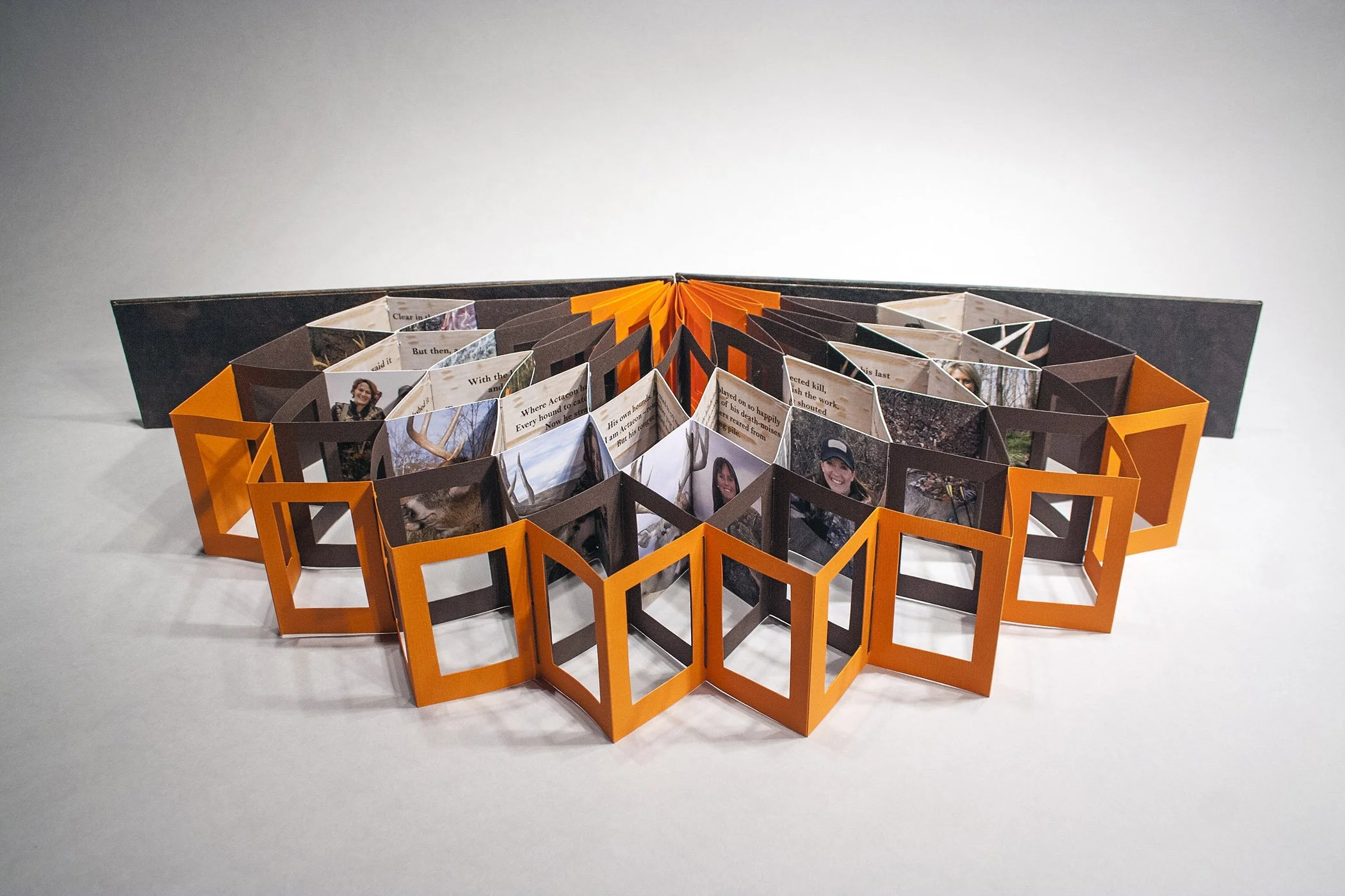 13 Laura Russell, Magnificent Beast, 2015, archival pigment prints, closed 12 x 3 x .9%22, open 27 x 12%22, Courtesy of the artist.jpg