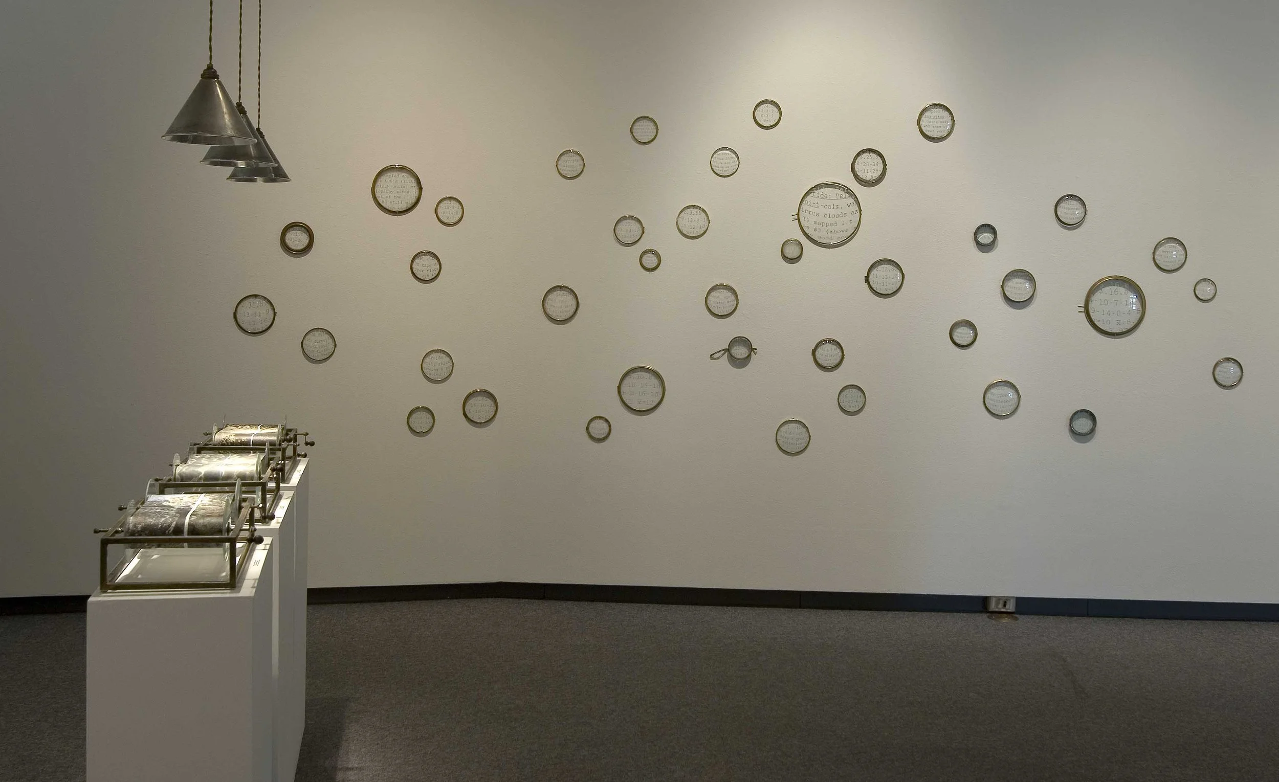 1 Green, Intertidal Transect, 2011.jpg