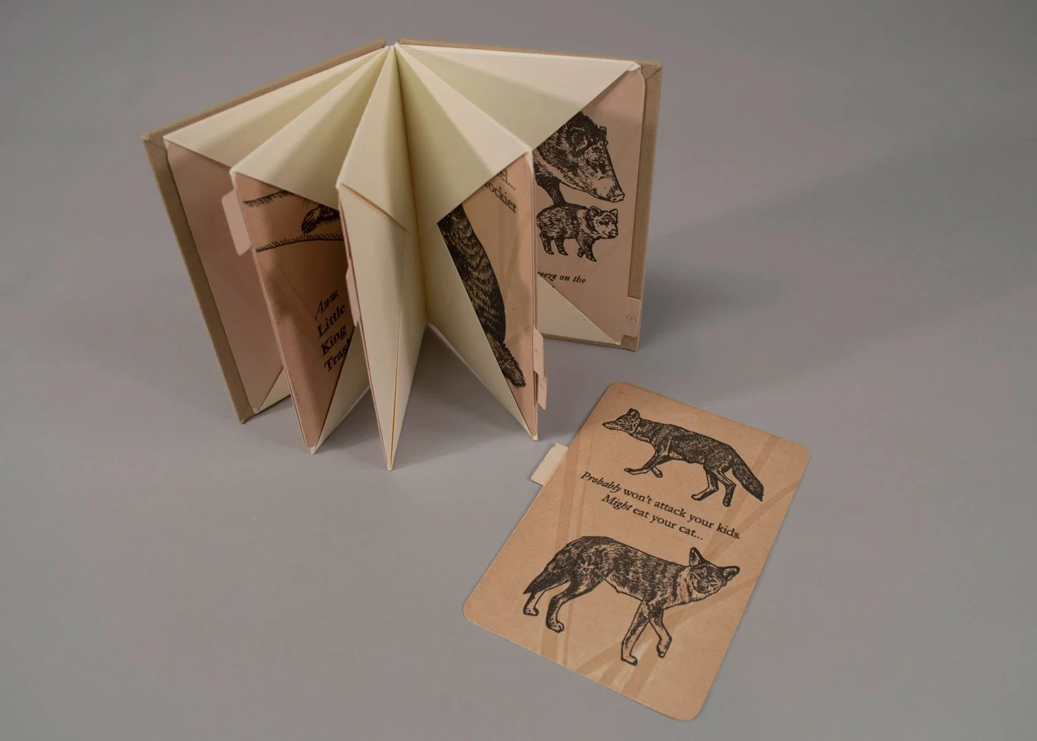 4 Napolitano, A Beginner's Guide to Phoenix Mammals (1).jpg