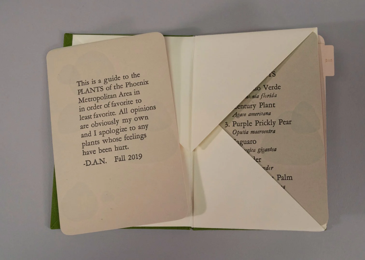 5 Napolitano, A Beginner's Guide to Phoenix Plants.jpg