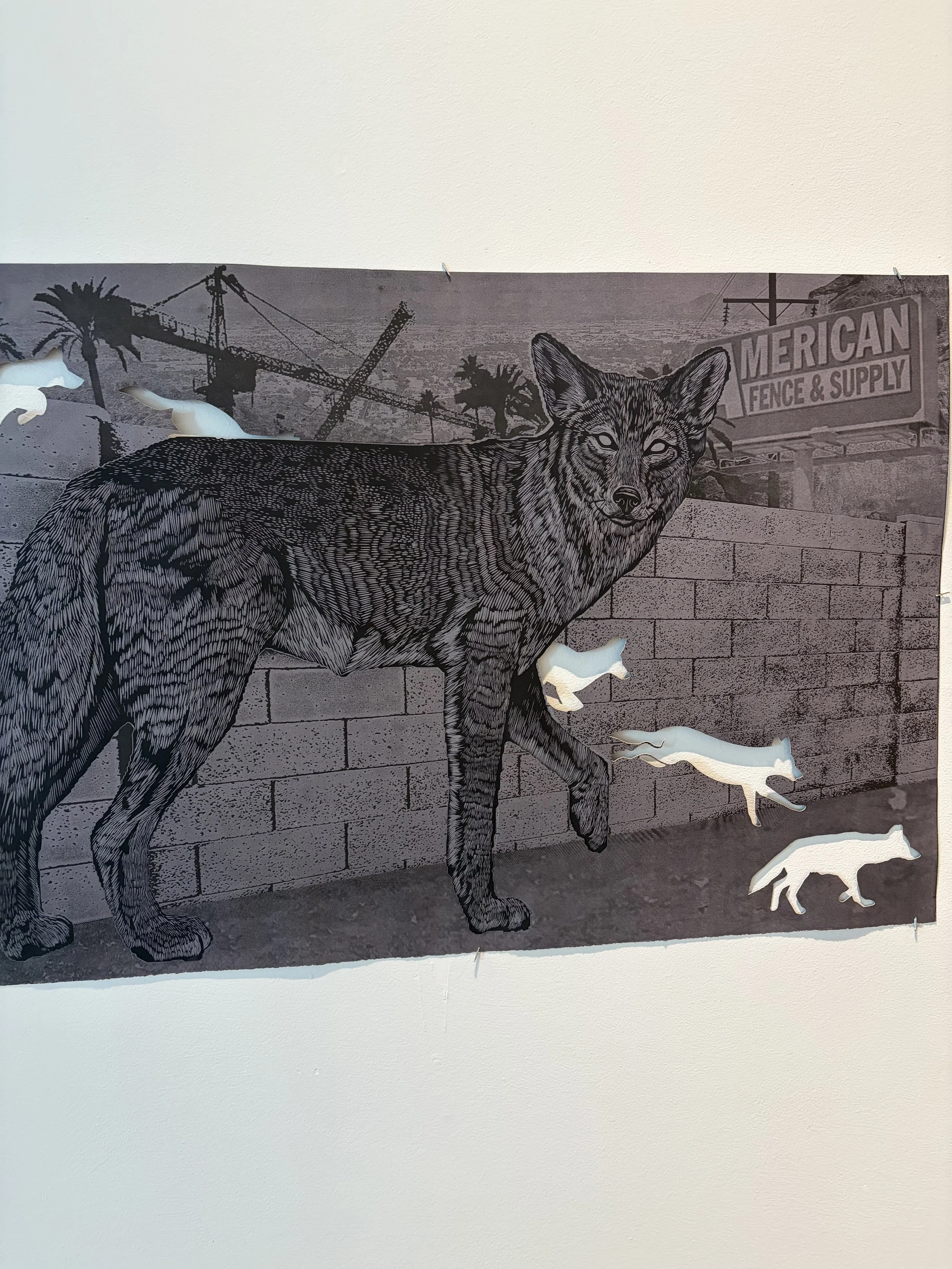 mountain shadows IMG_2999.jpeg