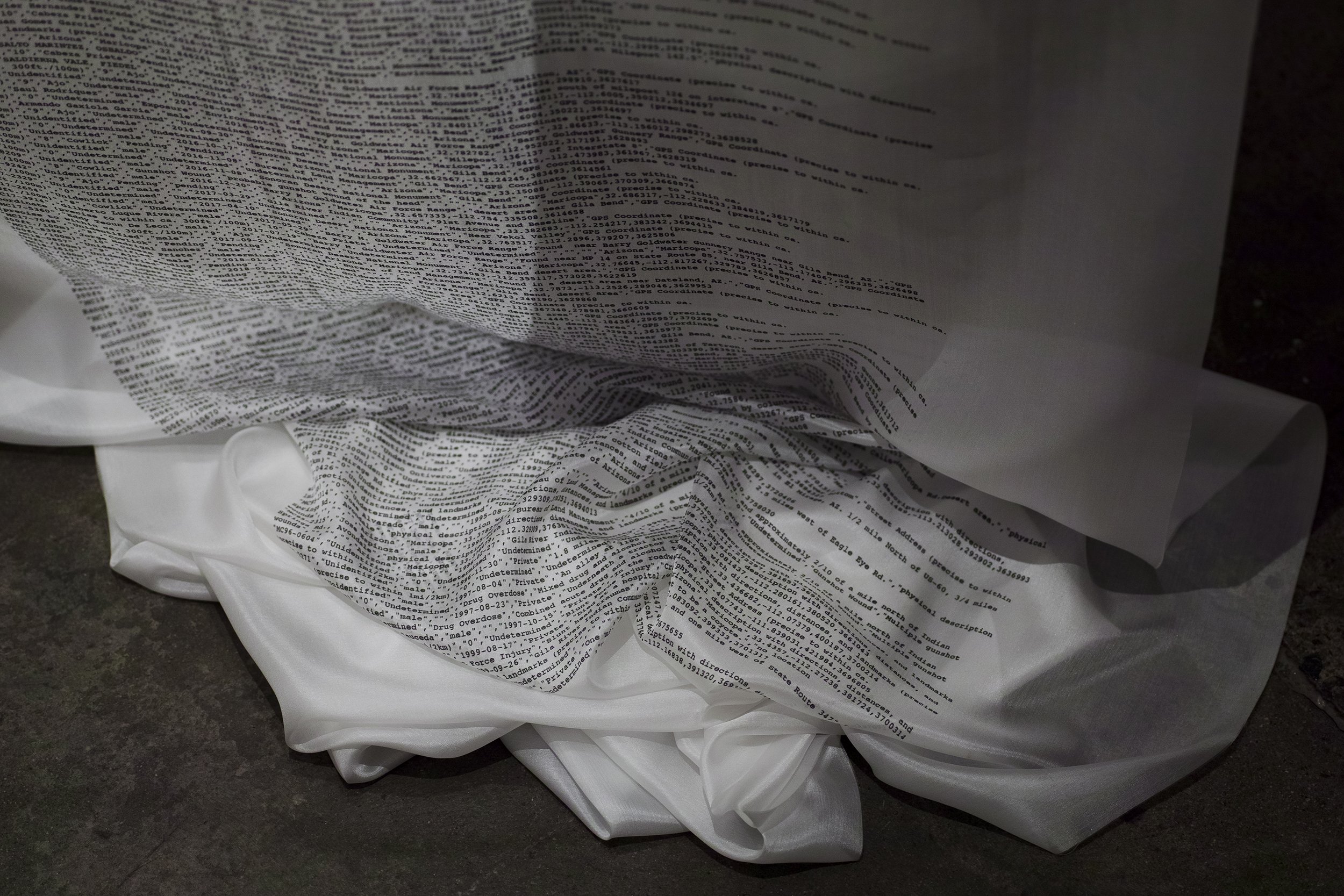 7 Pineda, Reverencia, 02: Arizona Migrant Deat h Mapping, 2025.jpg