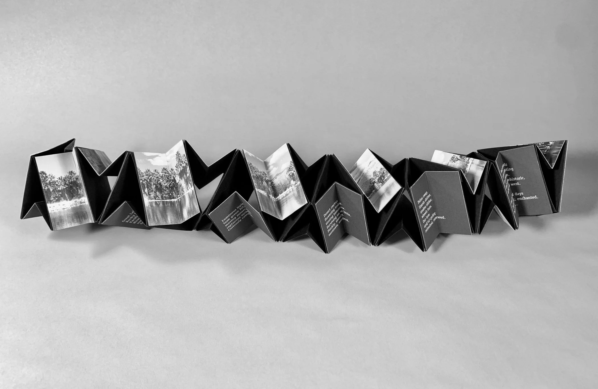 11 Russell, The Enchanting Desert, 2022.jpg