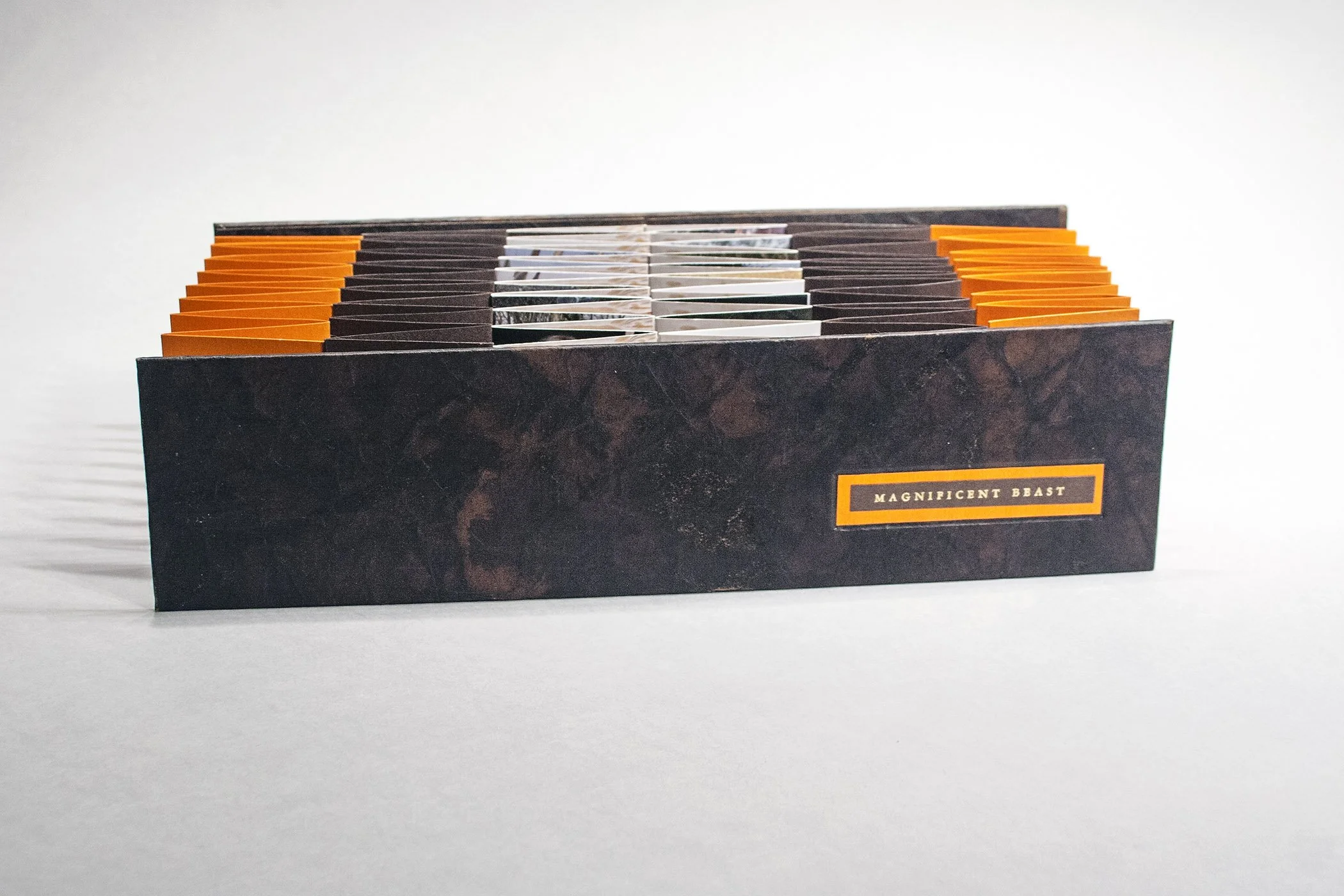 16 Russell, Magnificent Beast, 2015.jpg