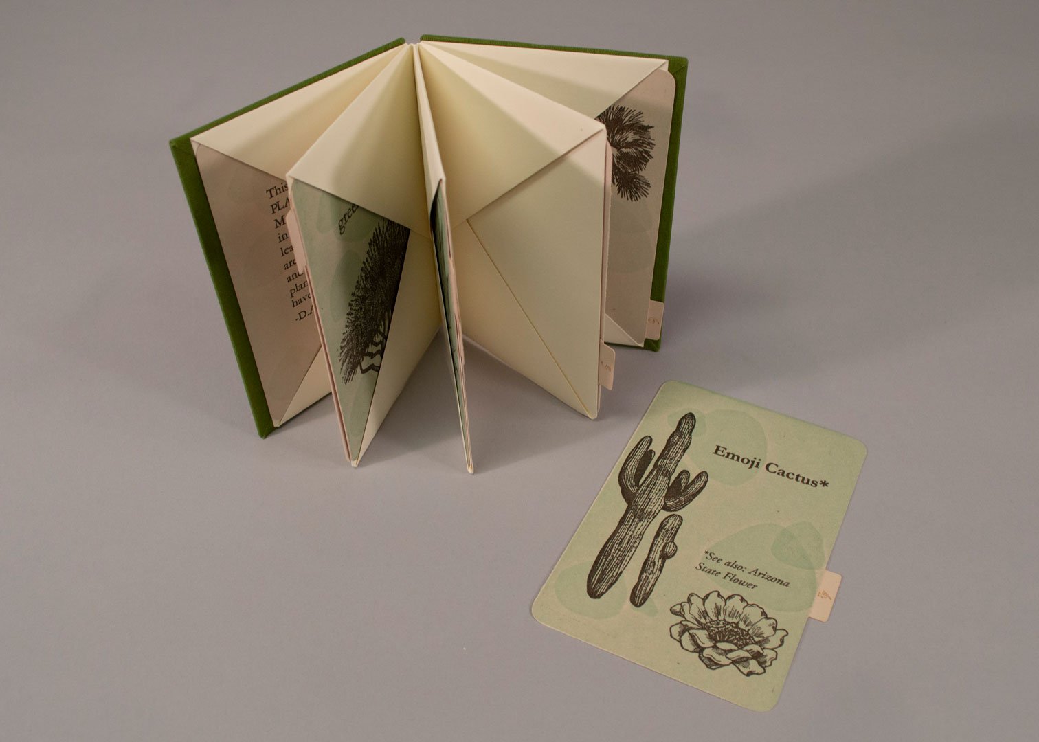 3 Napolitano, A Beginner's Guidet to Phoenix Plants.jpg