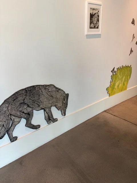 mountain shadows IMG_2995.jpeg