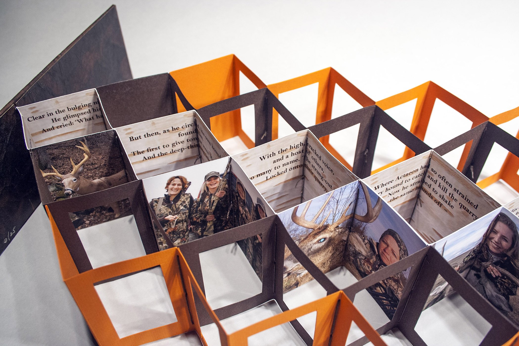 14 Russell, Magnificent Beast, 2015.jpg