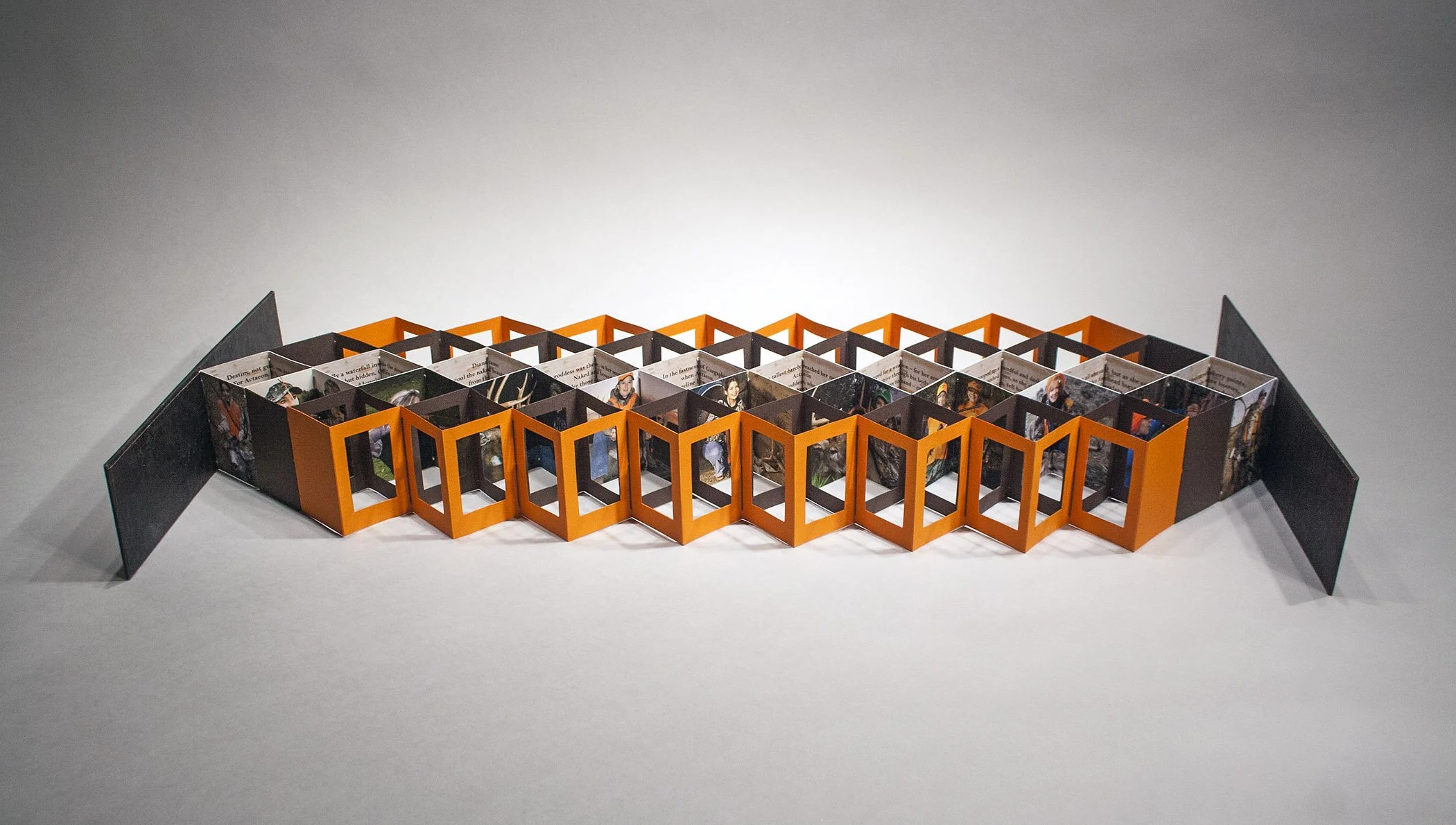 15 Russell, Magnificent Beast, 2015.jpg