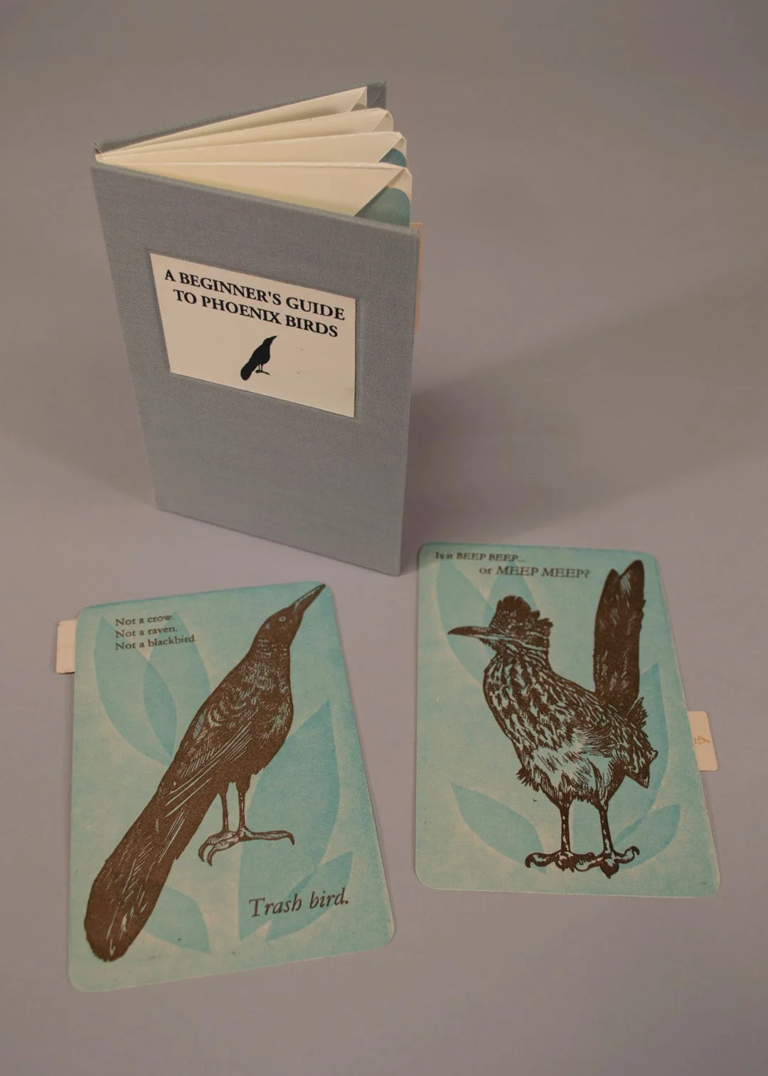 2 Napolitano, A Beginner's Guide to Phoenix Birds, 2019.jpg