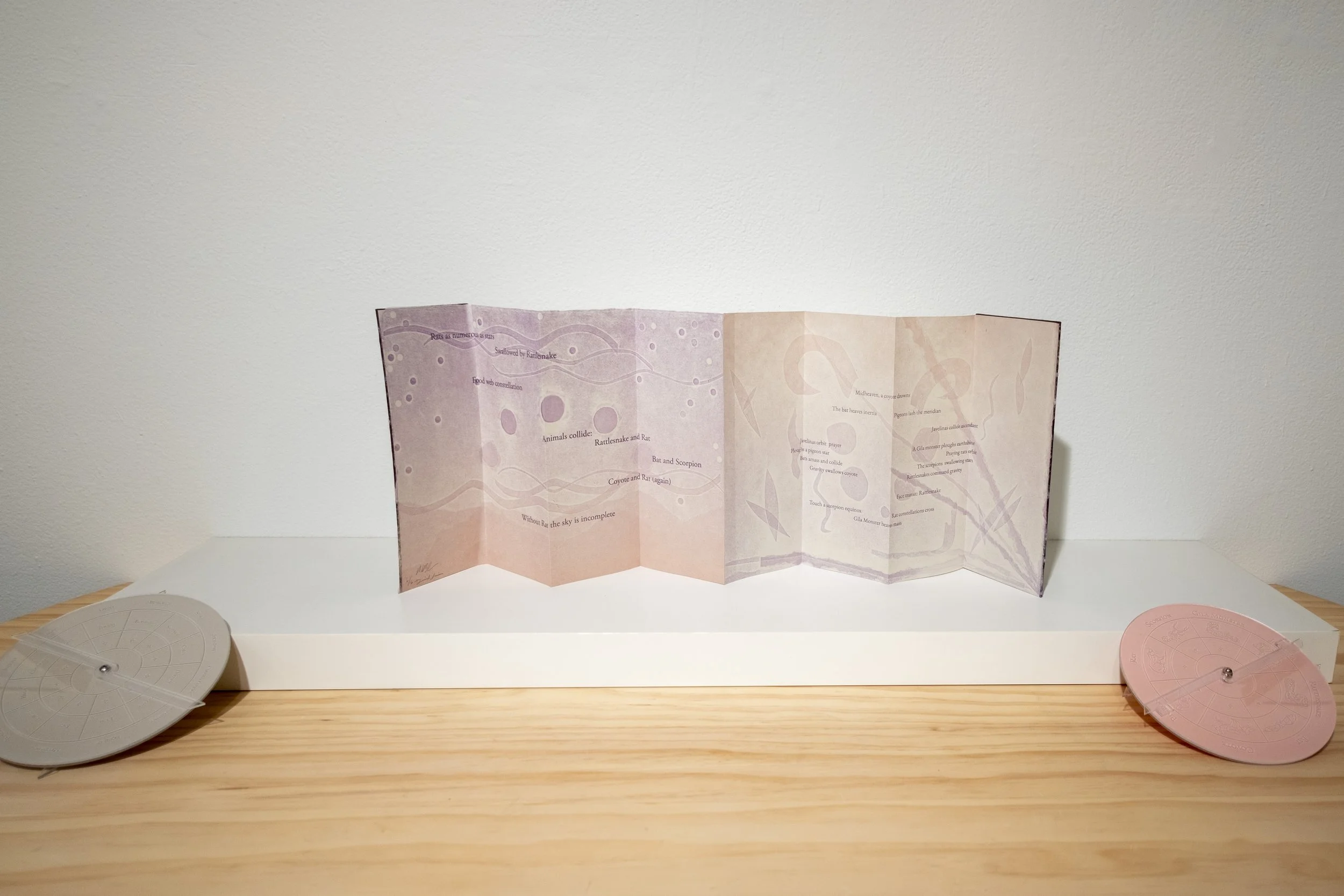 11 Napolitano, The Desert in Your Palm.jpg