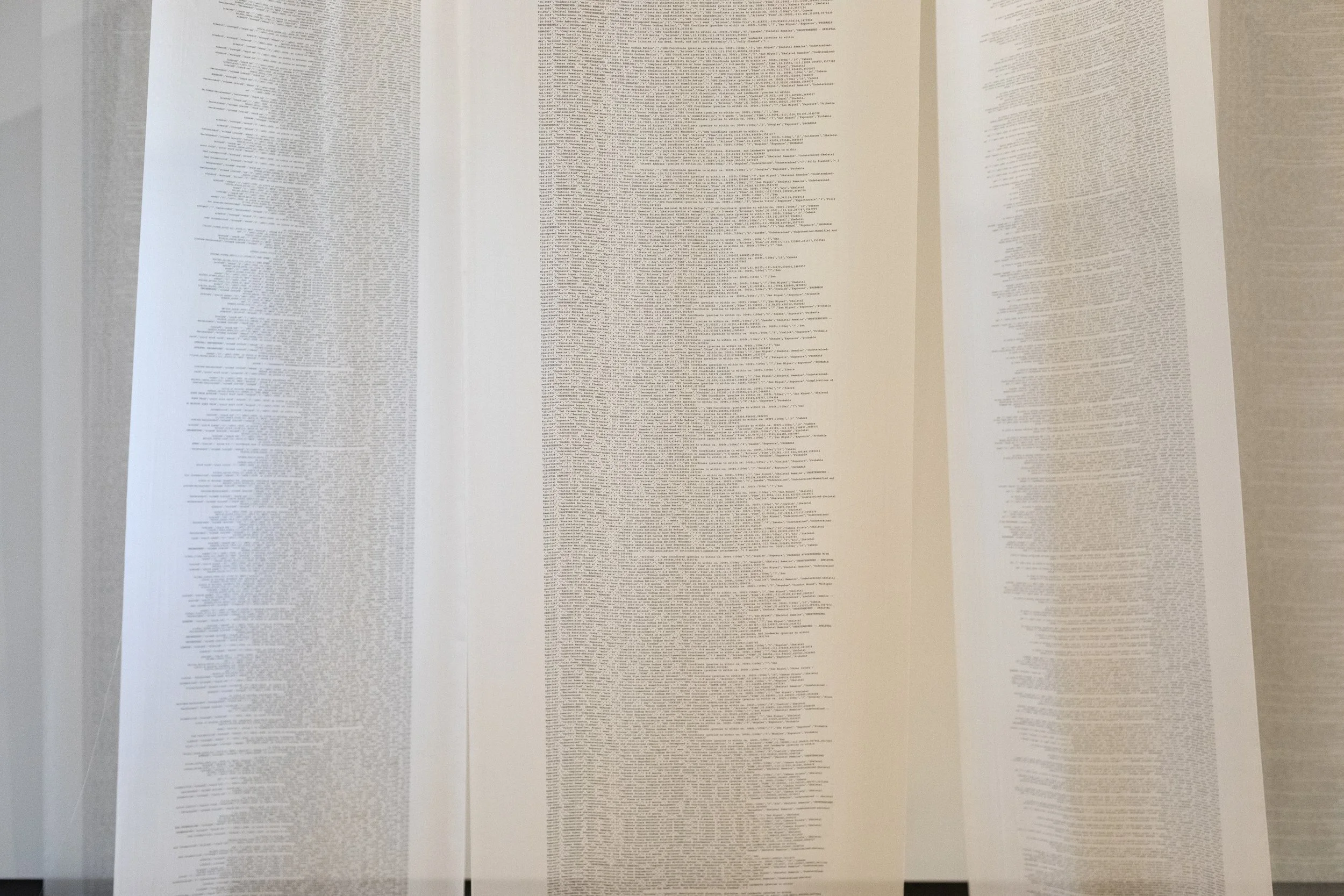 10 Pineda, Reverencia, 02: Arizona Migrant Deat h Mapping, 2025, at the Phoenix Art Museum.jpg