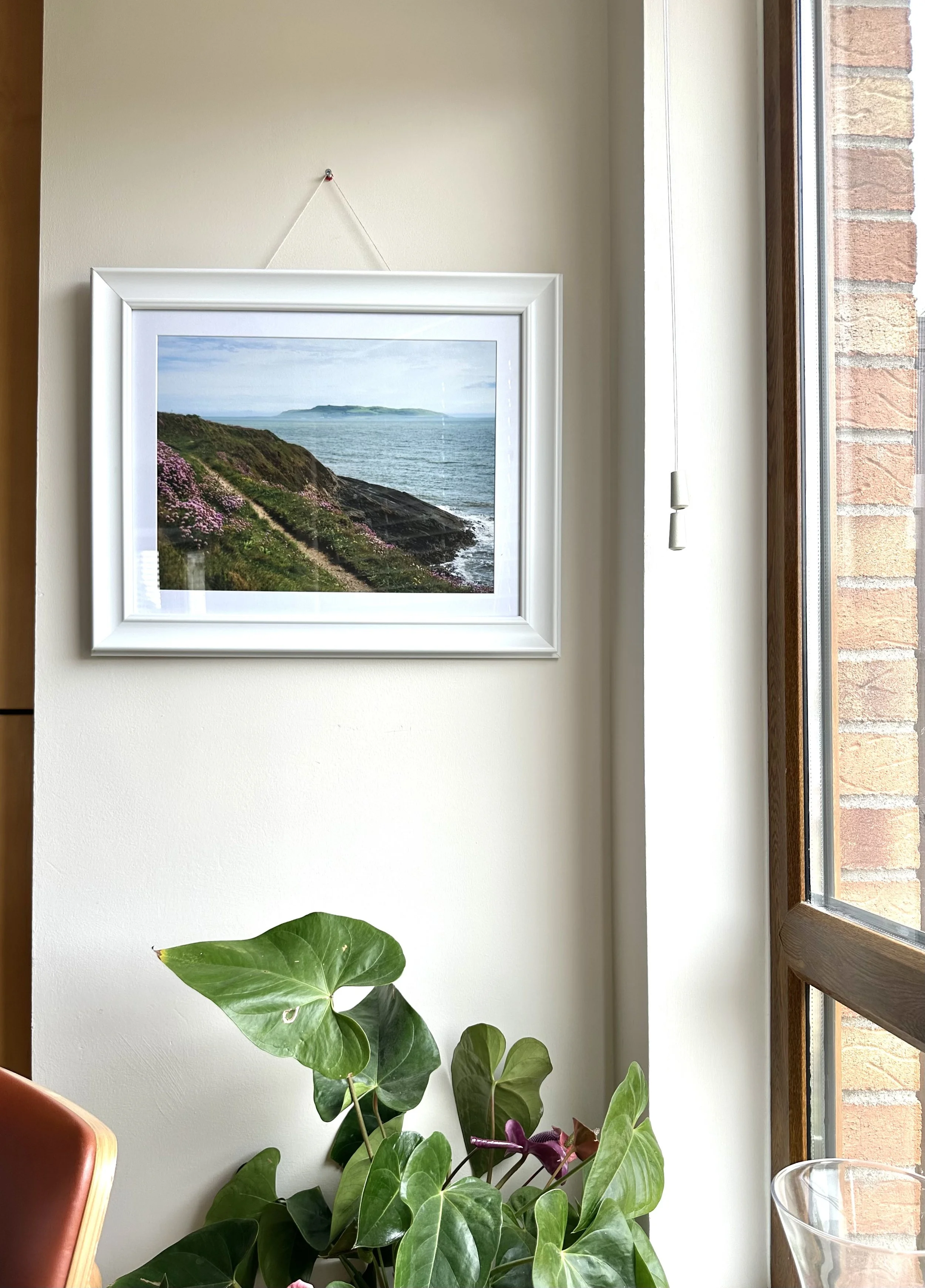 A white picture frame hanging on a beige wall next to a window. Below the frame, there are large green and purple houseplants. Part of a wooden window frame and a red chair are also visible.