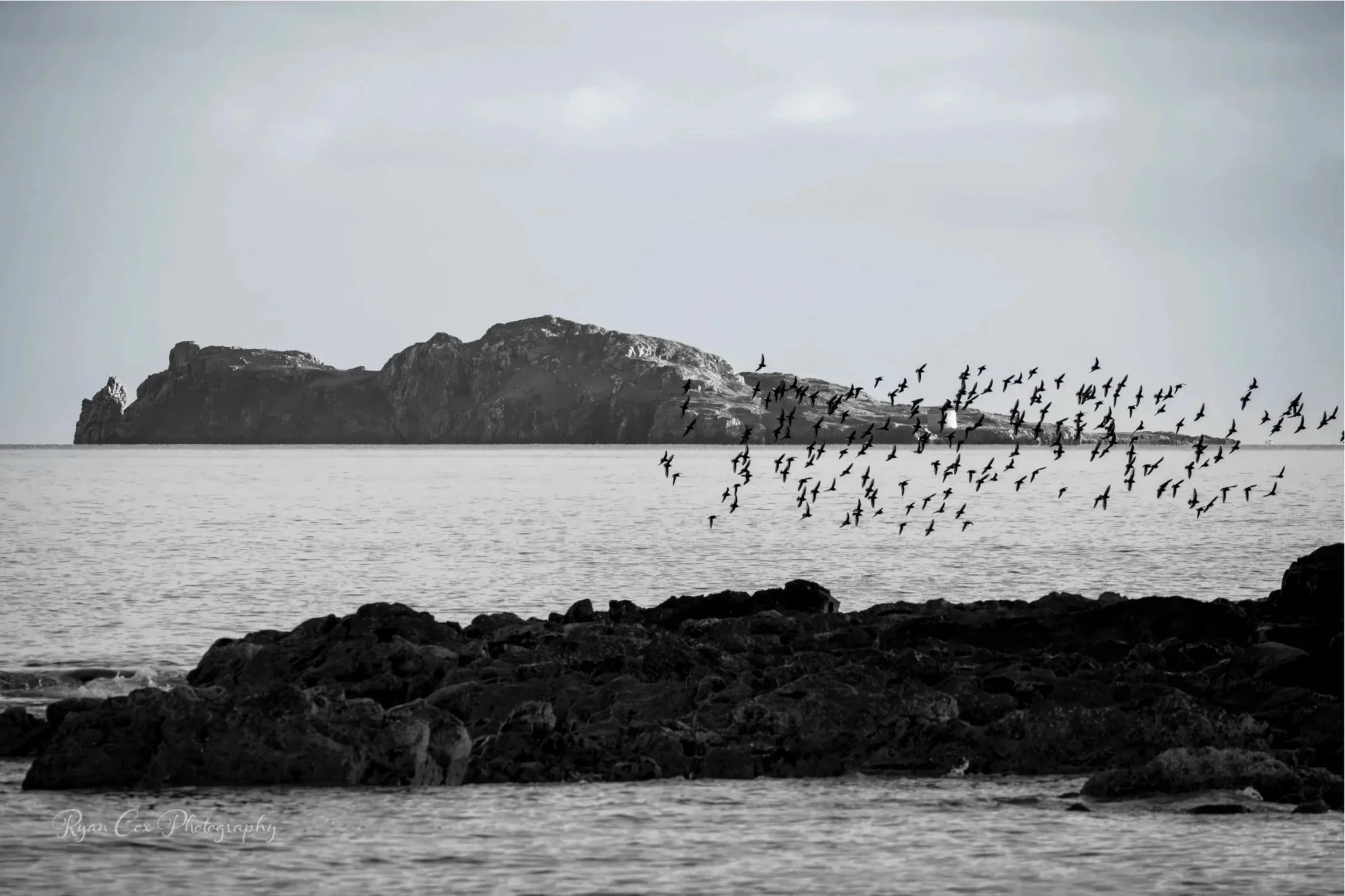 Irelands Eye, Co. Dublin