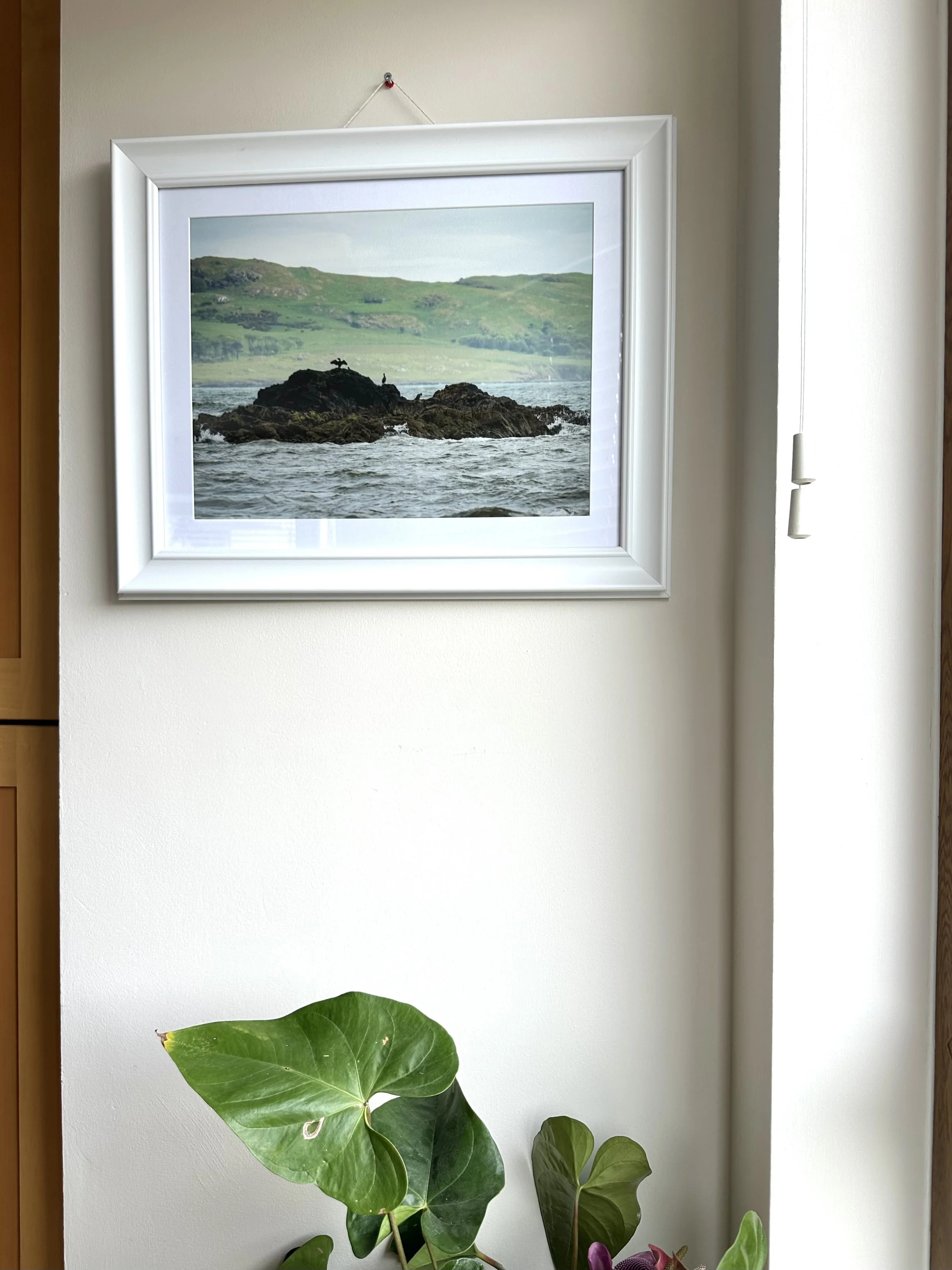 A framed landscape photo of green hills and water hangs on a white wall above a large green leaf plant.