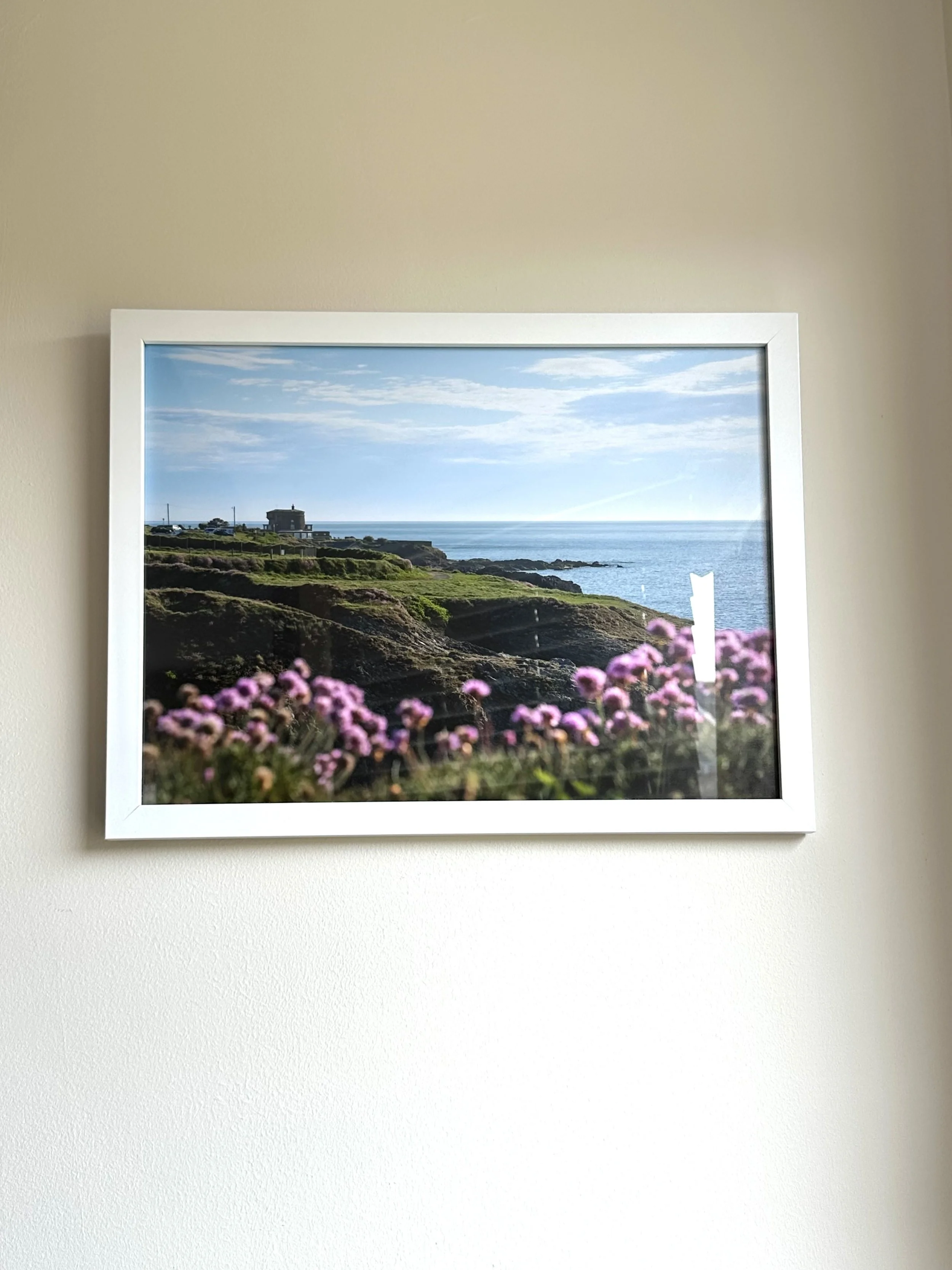 A framed photograph of a coastal landscape with blue sky, ocean, rocky shoreline, green grassy cliffs, and pink flowers in the foreground, hung on a beige wall.