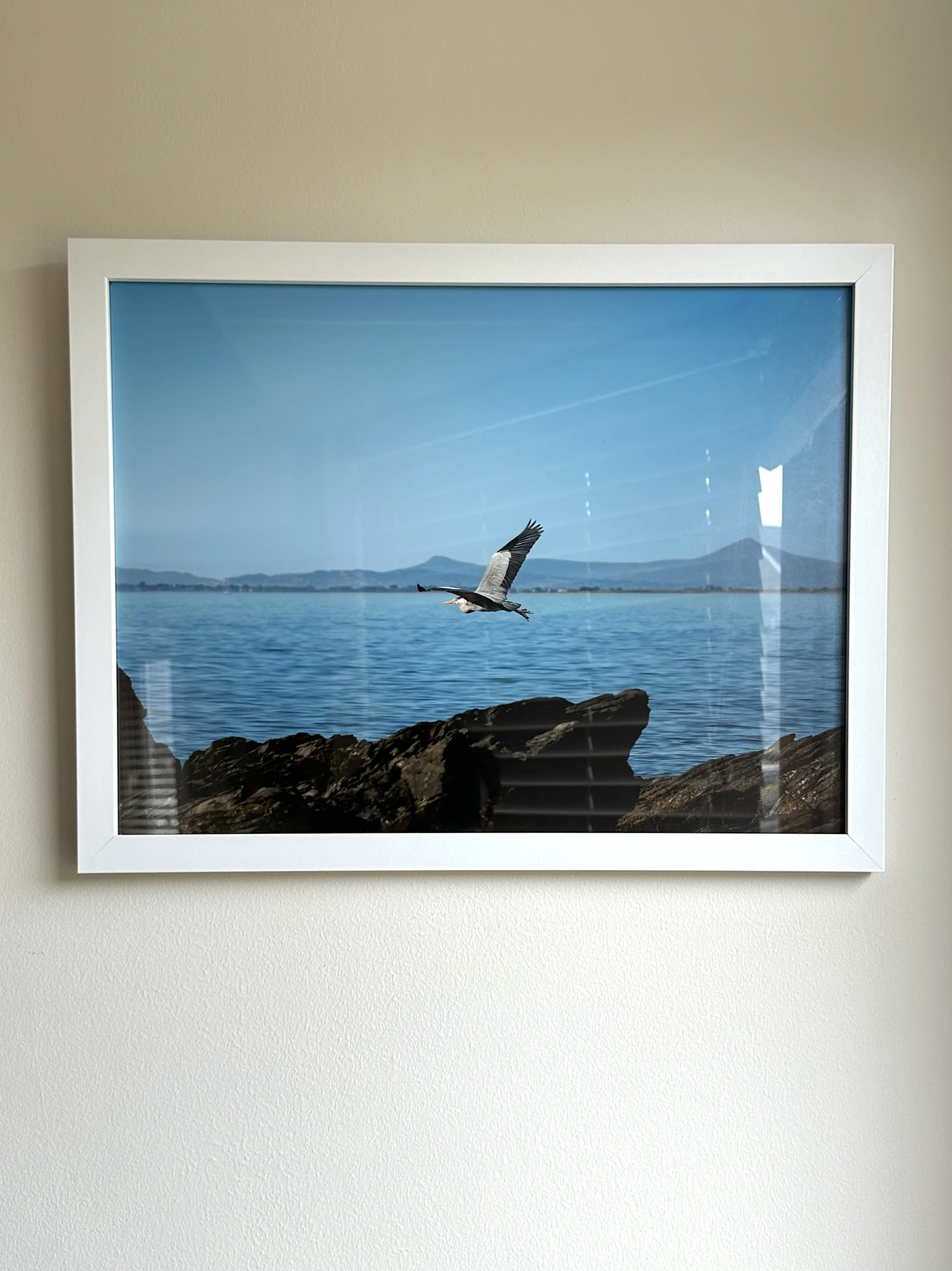 A framed photograph of a seascape with a bird flying over rocks in the foreground, water, and distant mountains under a clear blue sky.