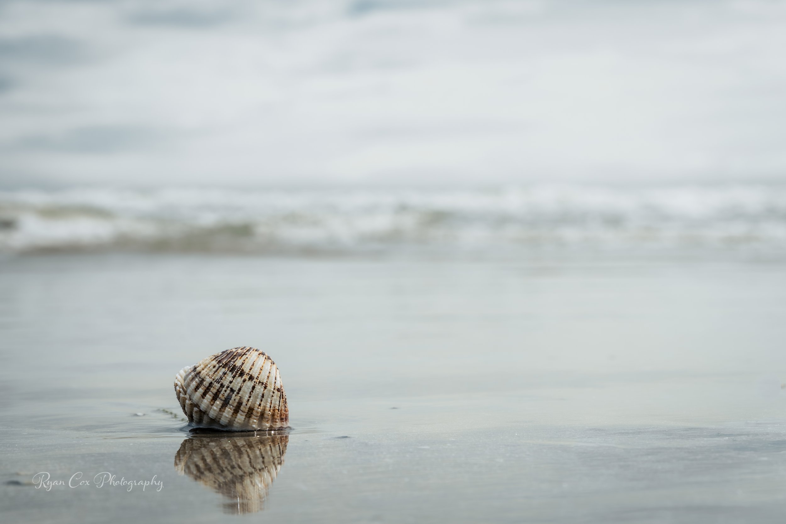 Donabate Beach