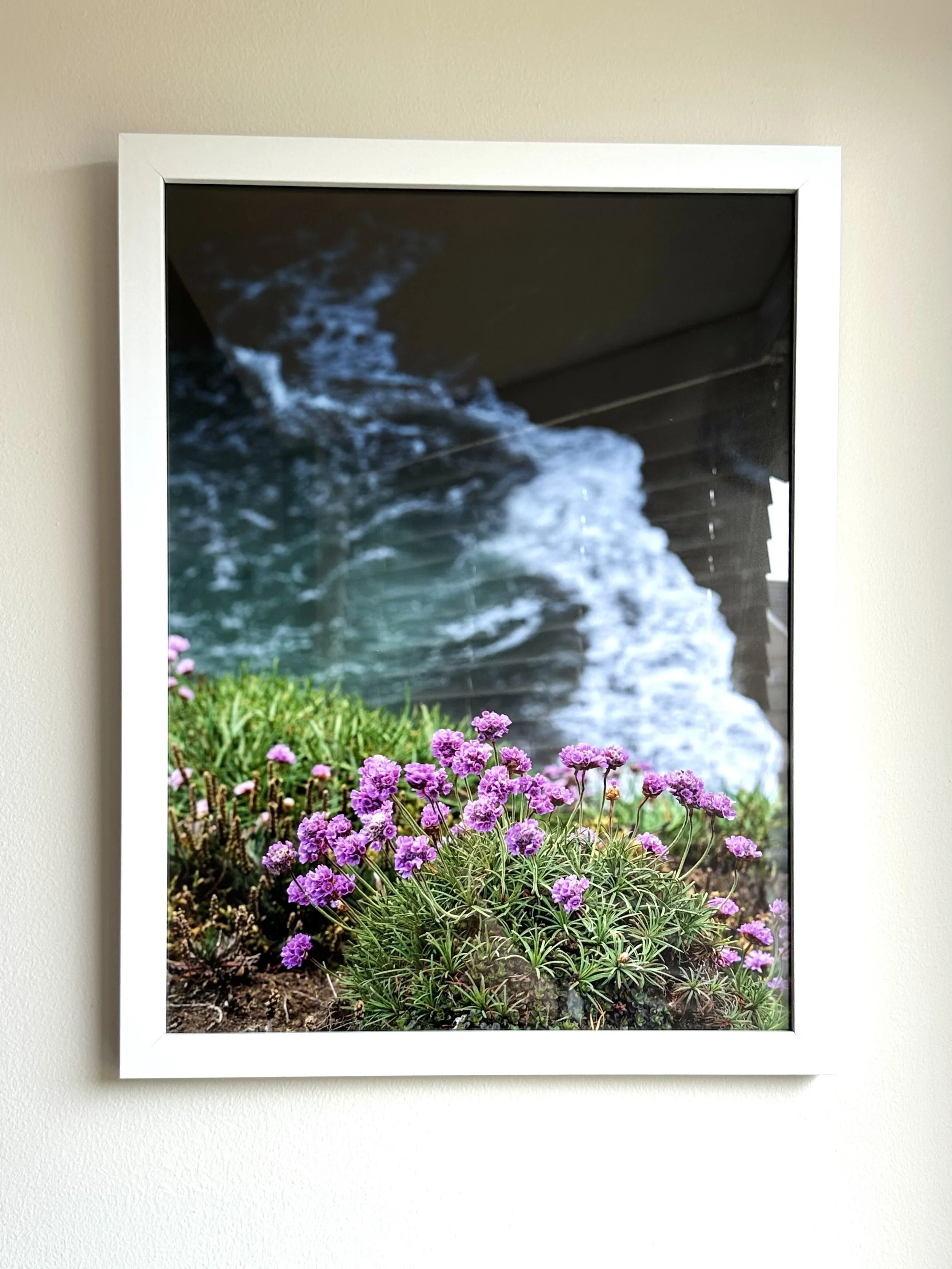Framed photograph of pink flowers with green foliage in the foreground and a waterfall in the background.