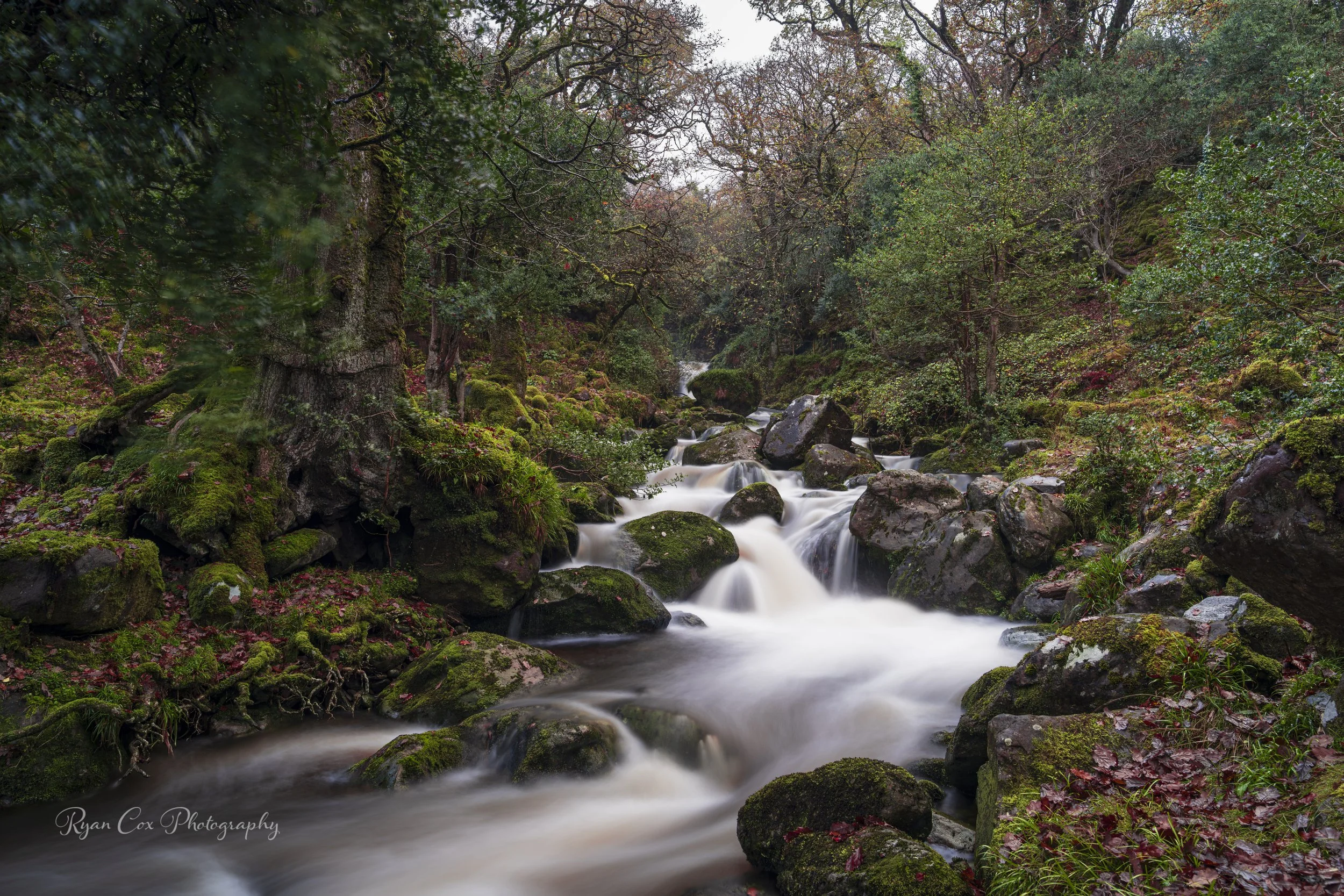Killarney, Co. Kerry