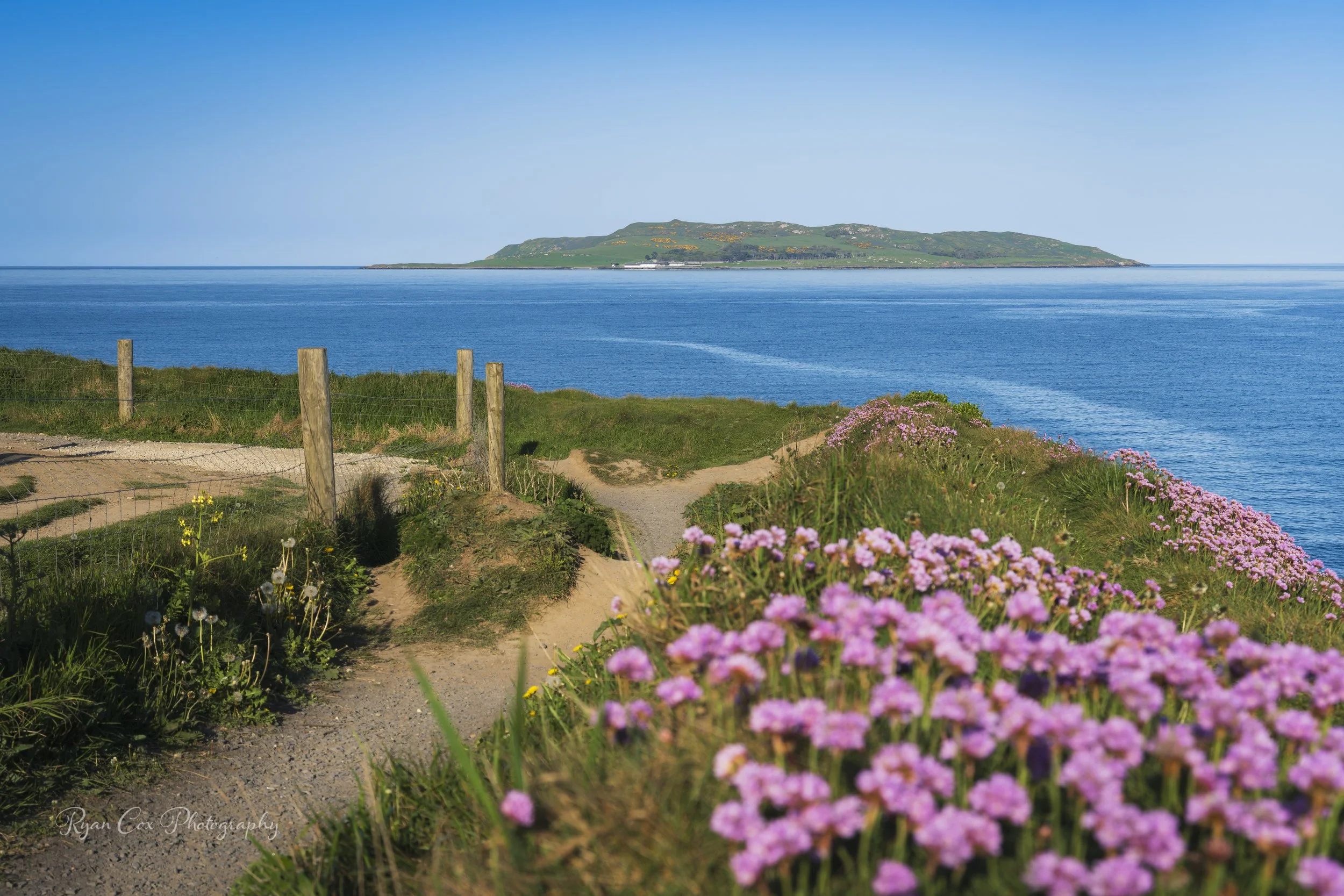 Lambay Island, Co Dublin
