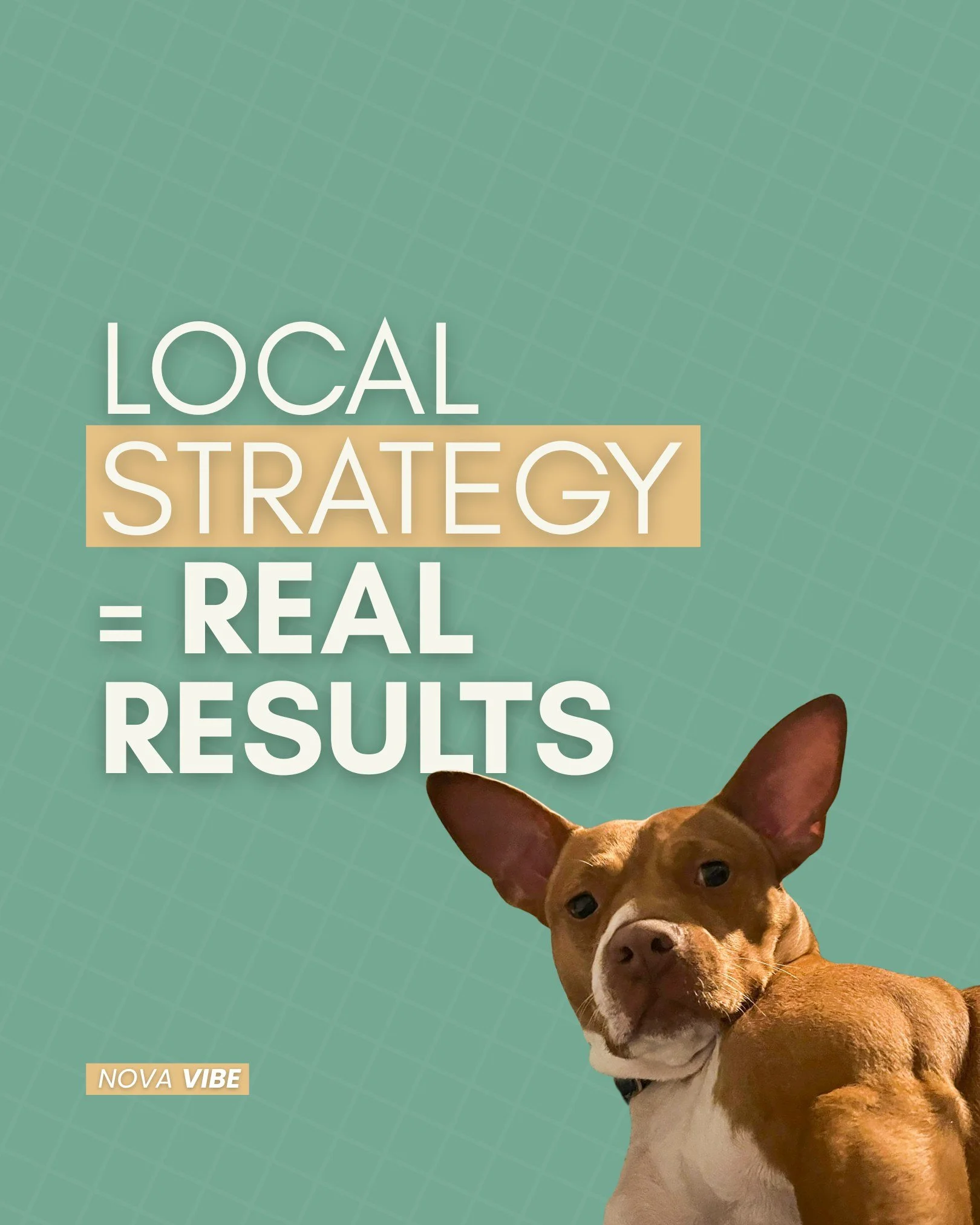 Because what works in LA doesn&rsquo;t always work on Long Island.

we build strategies that speak your community&rsquo;s language &mdash; connecting your brand with real people nearby, not just followers on a screen.

✨ ready to make your local pres
