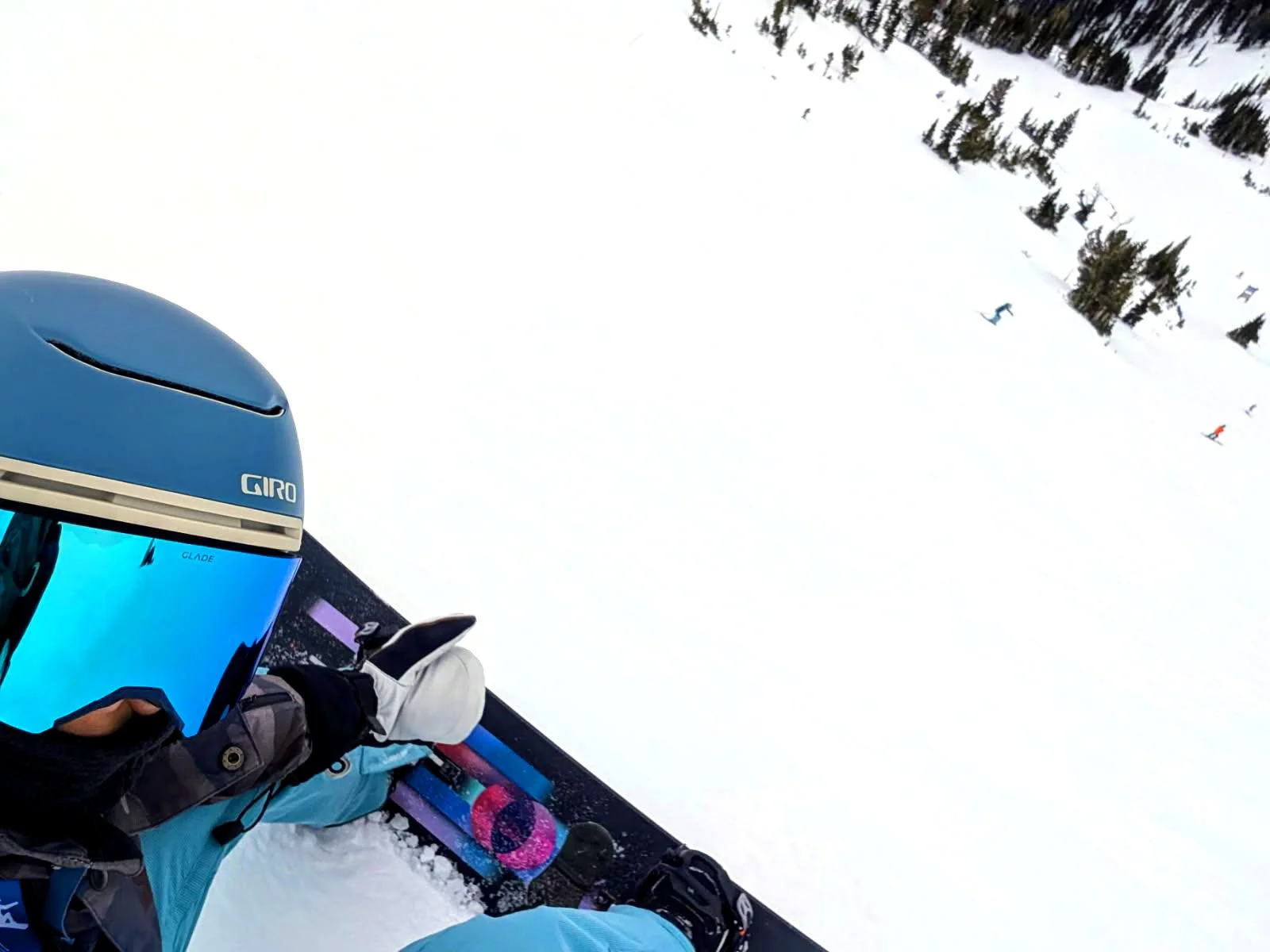 Current Status: Shredding — Steinmetz Lab