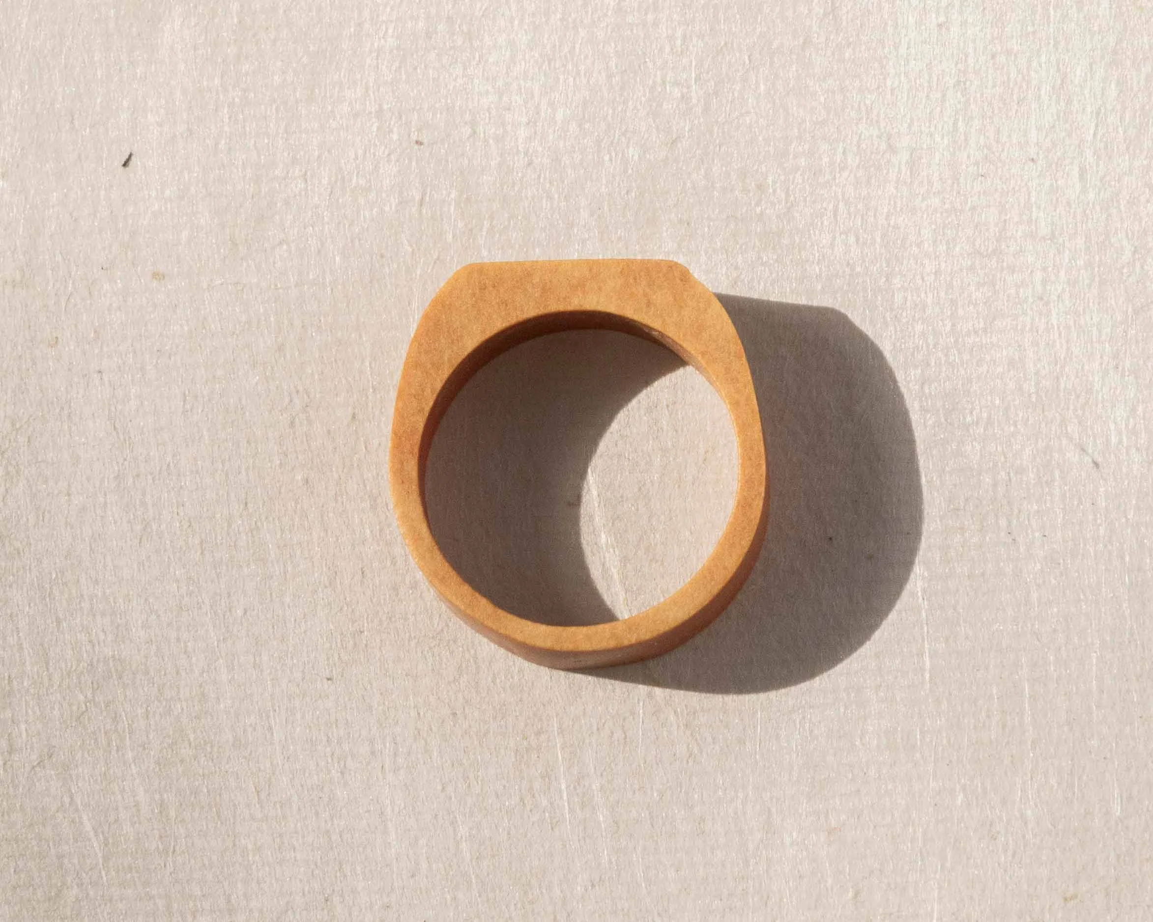 _1090029.jpg