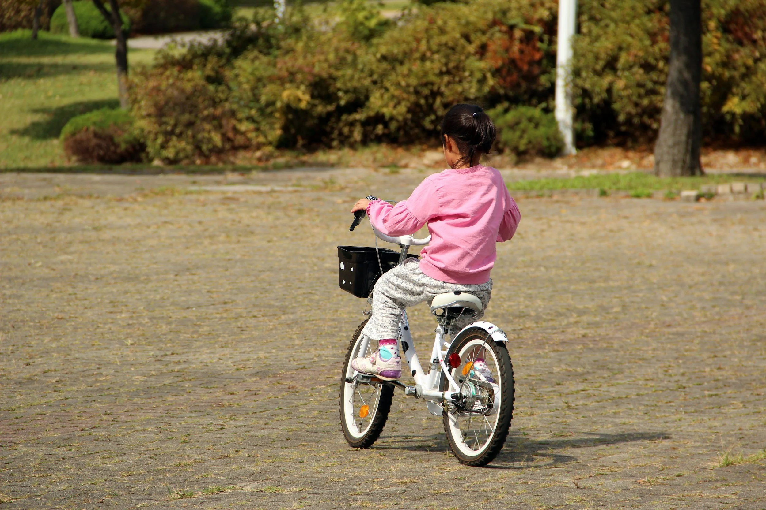 A young girl rides her bicycle with a basket down a tree-lined street, reflecting the joy, freedom, and delight of discovering books and stories.