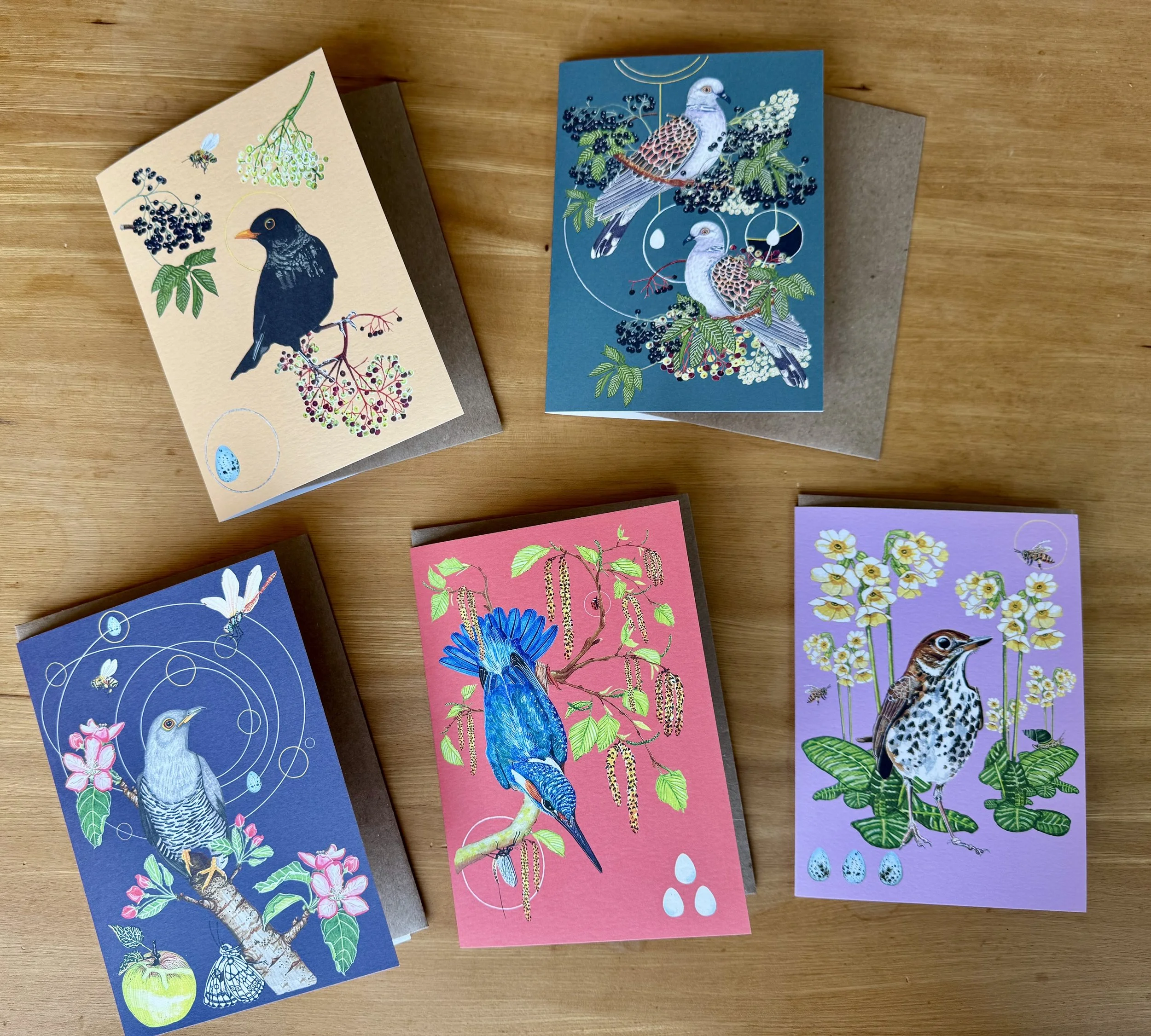 britishbirdfolklorenotecardset.jpeg