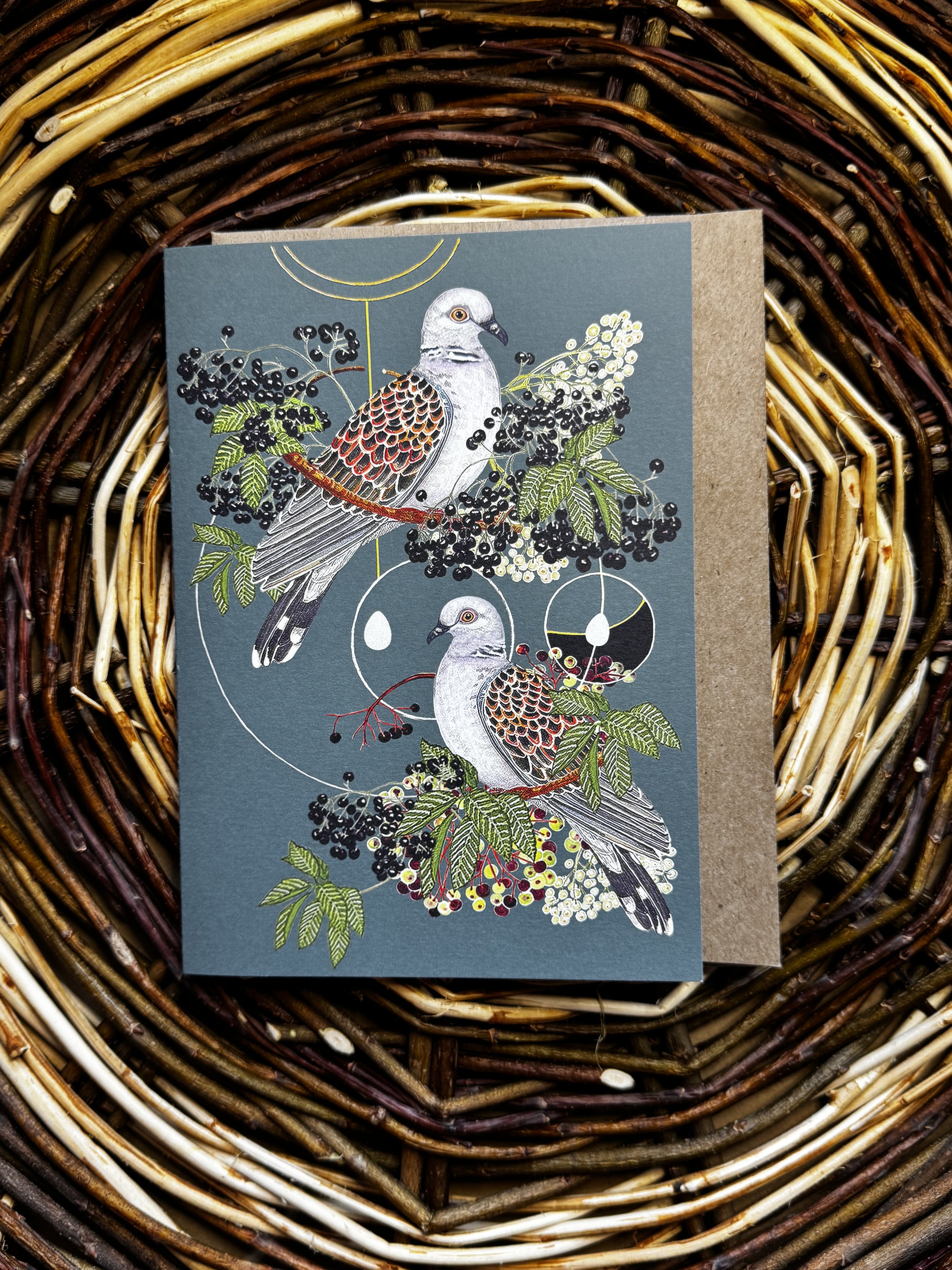 Turtledovefolklore.notecard-2.jpeg