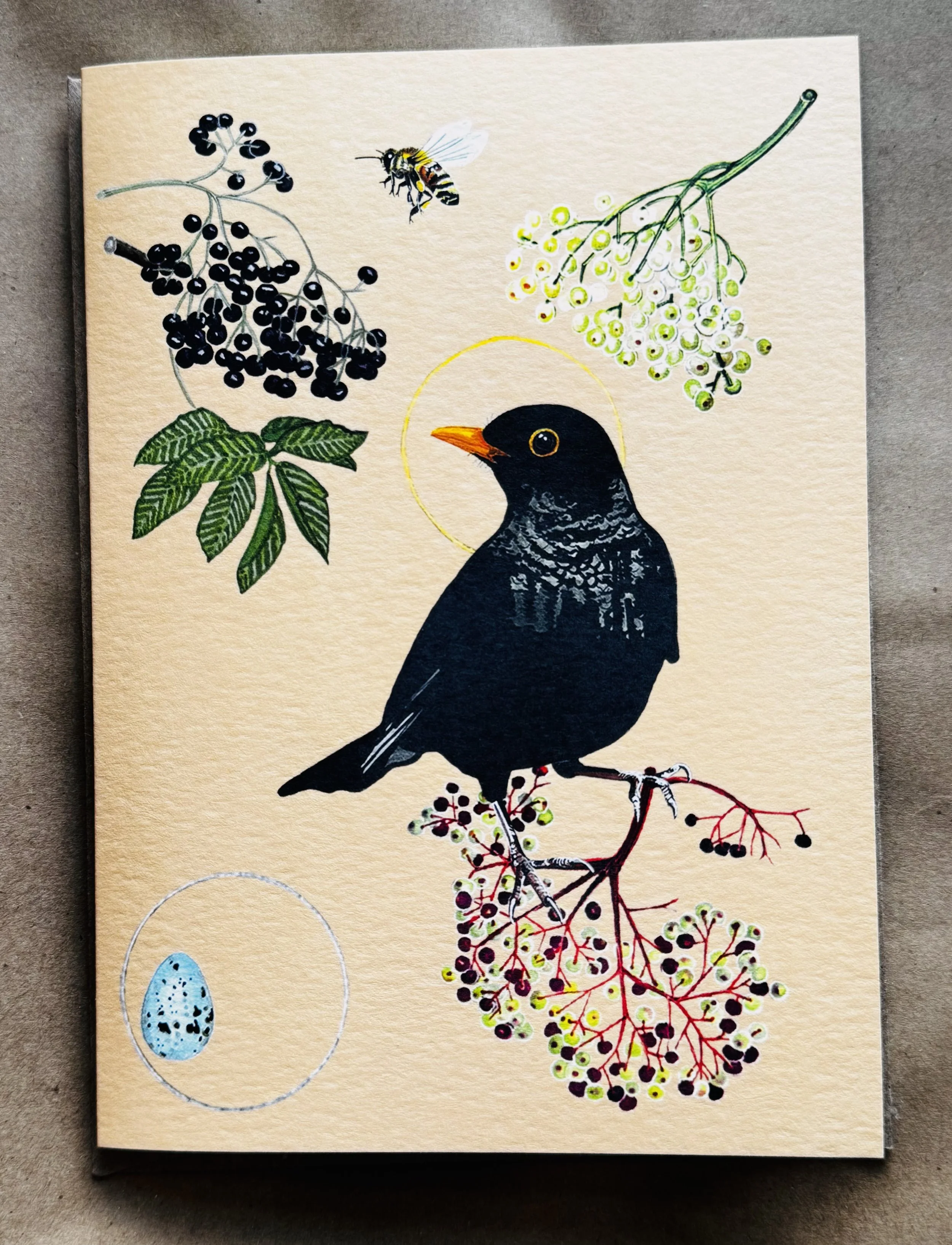 Blackbird.notecard.jpeg